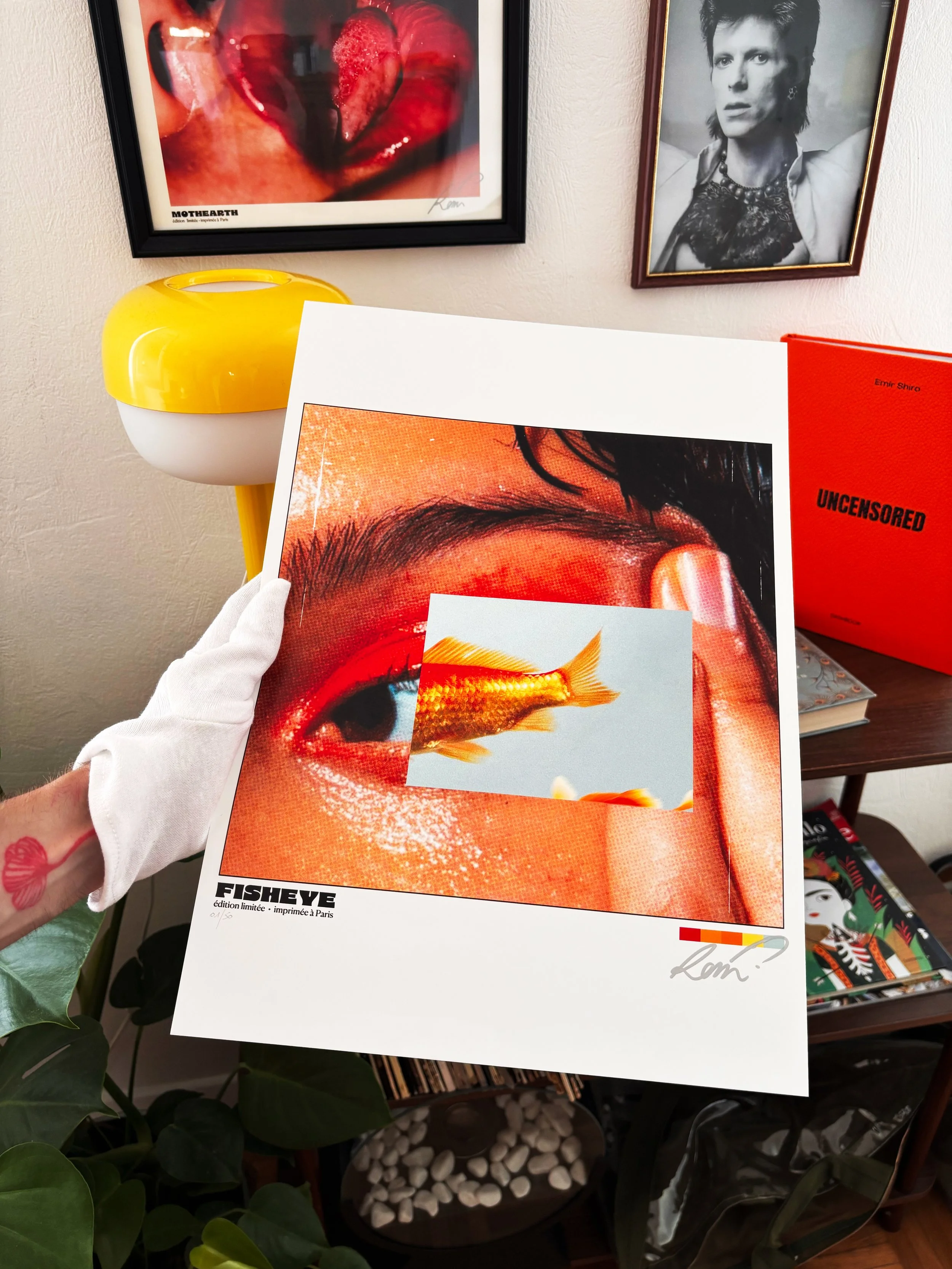 Poster - Fisheye.jpg