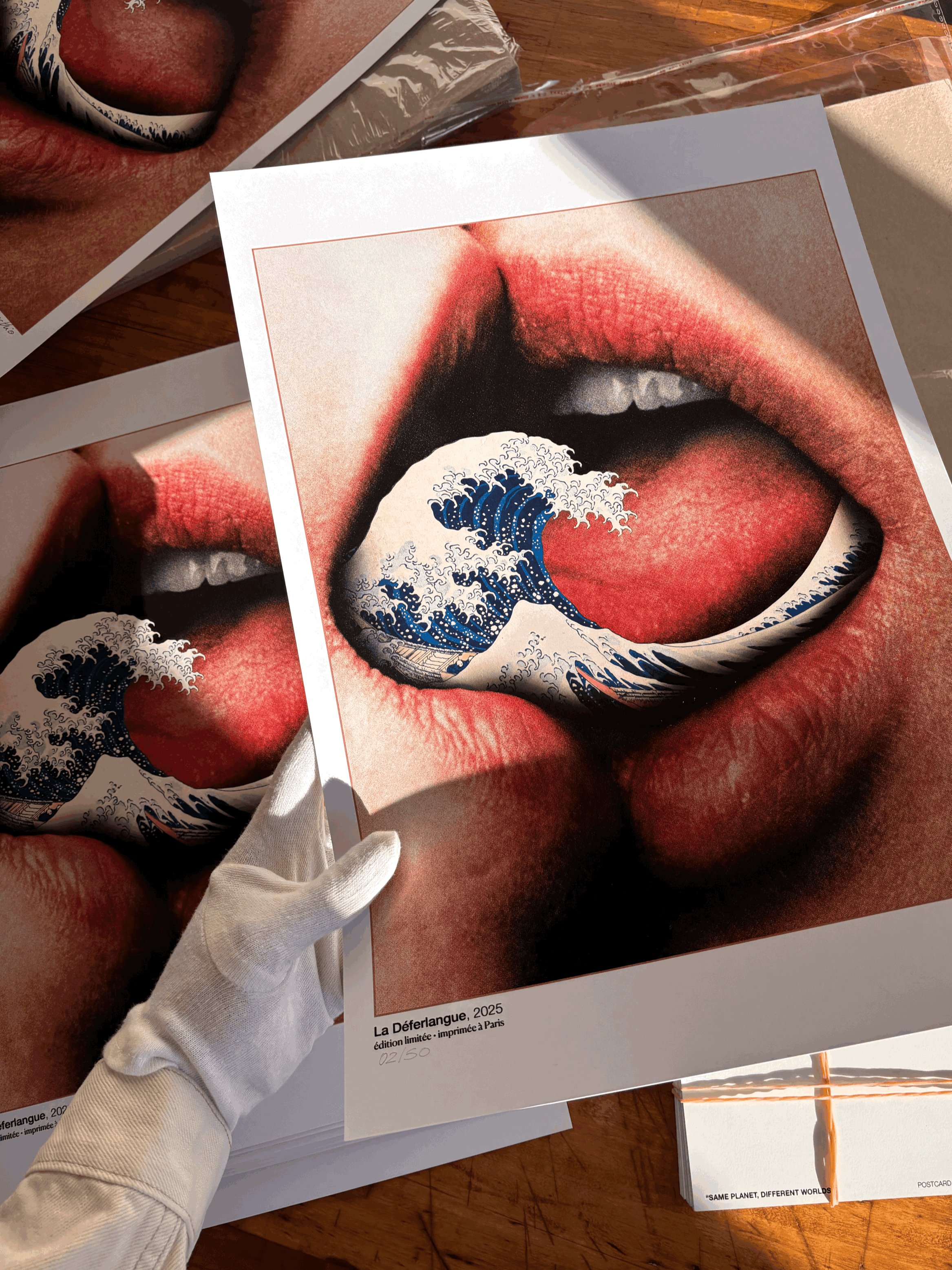 Poster - La Déferlangue