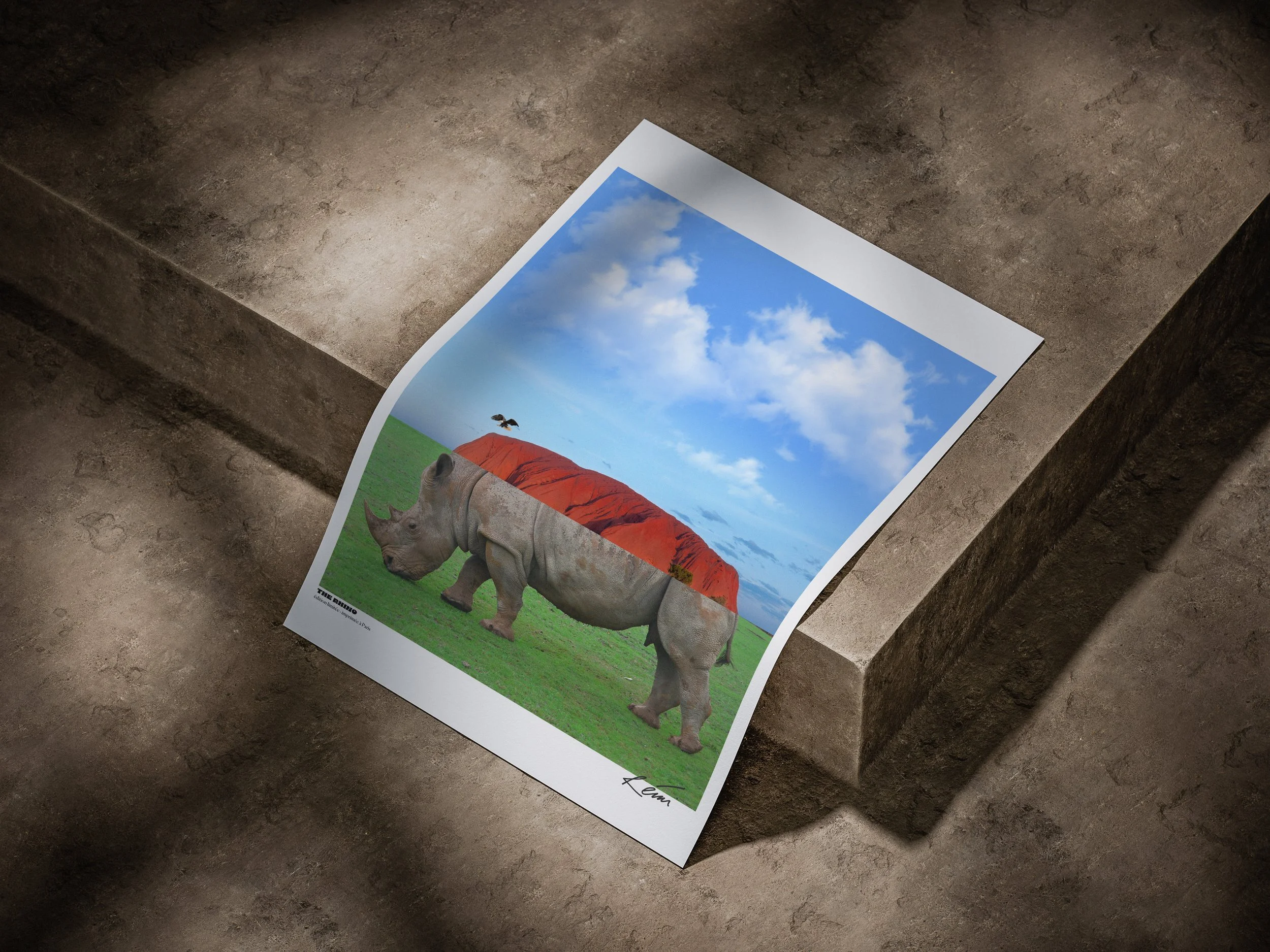 POSTER - THE RHINO (exclusivité)