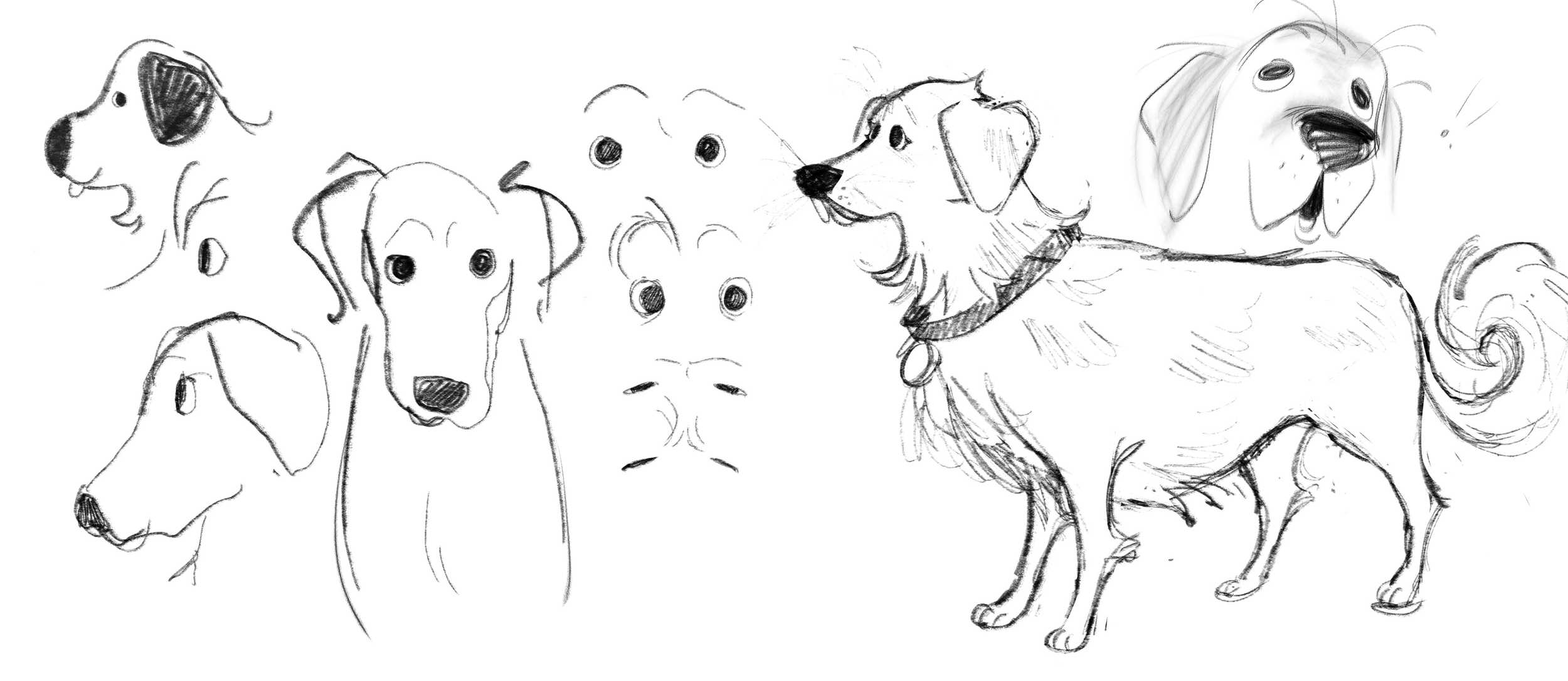 Untitled_Artwork 12.png