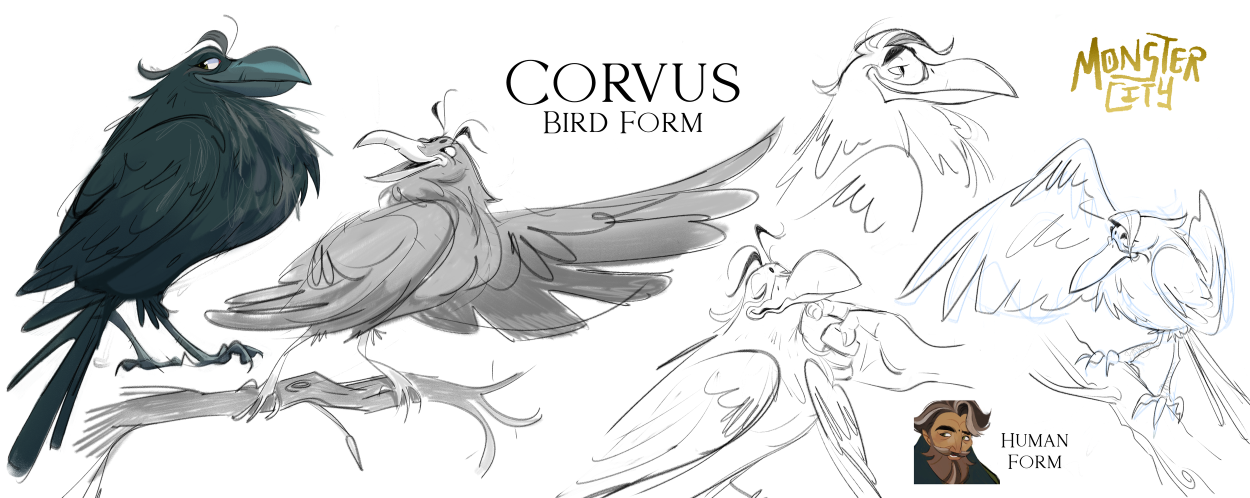 CorvusBirdForm (1).png