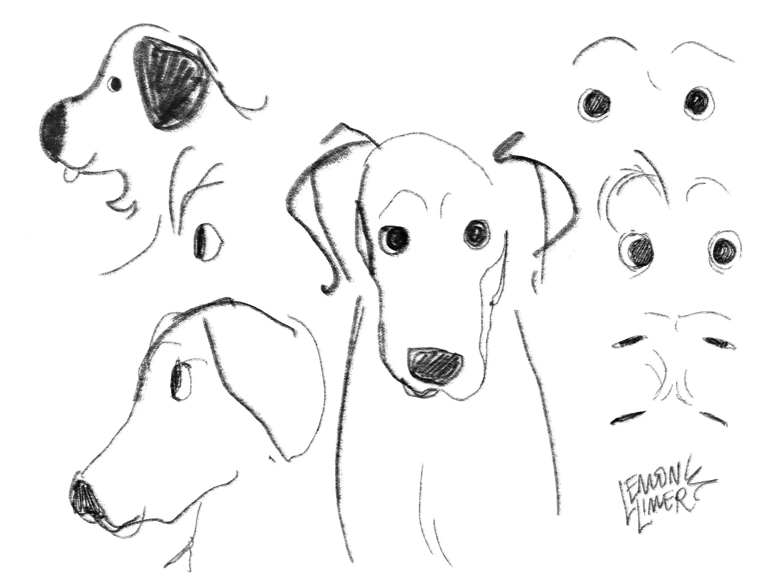 Untitled - December 21, 2025 13.33.jpg