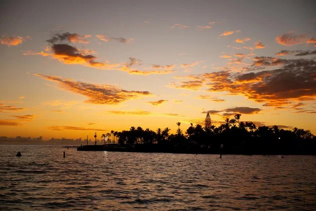 The Nerves Are the Point