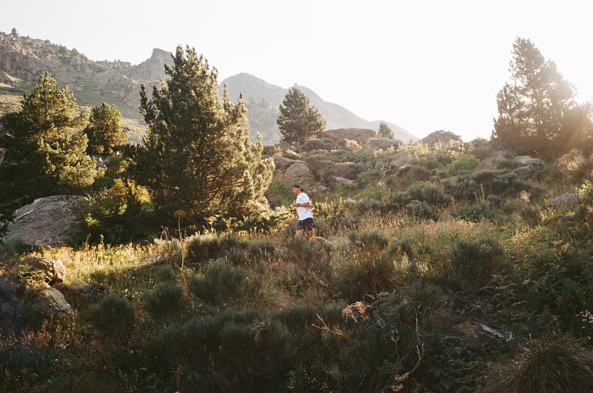 Back to the Beginning