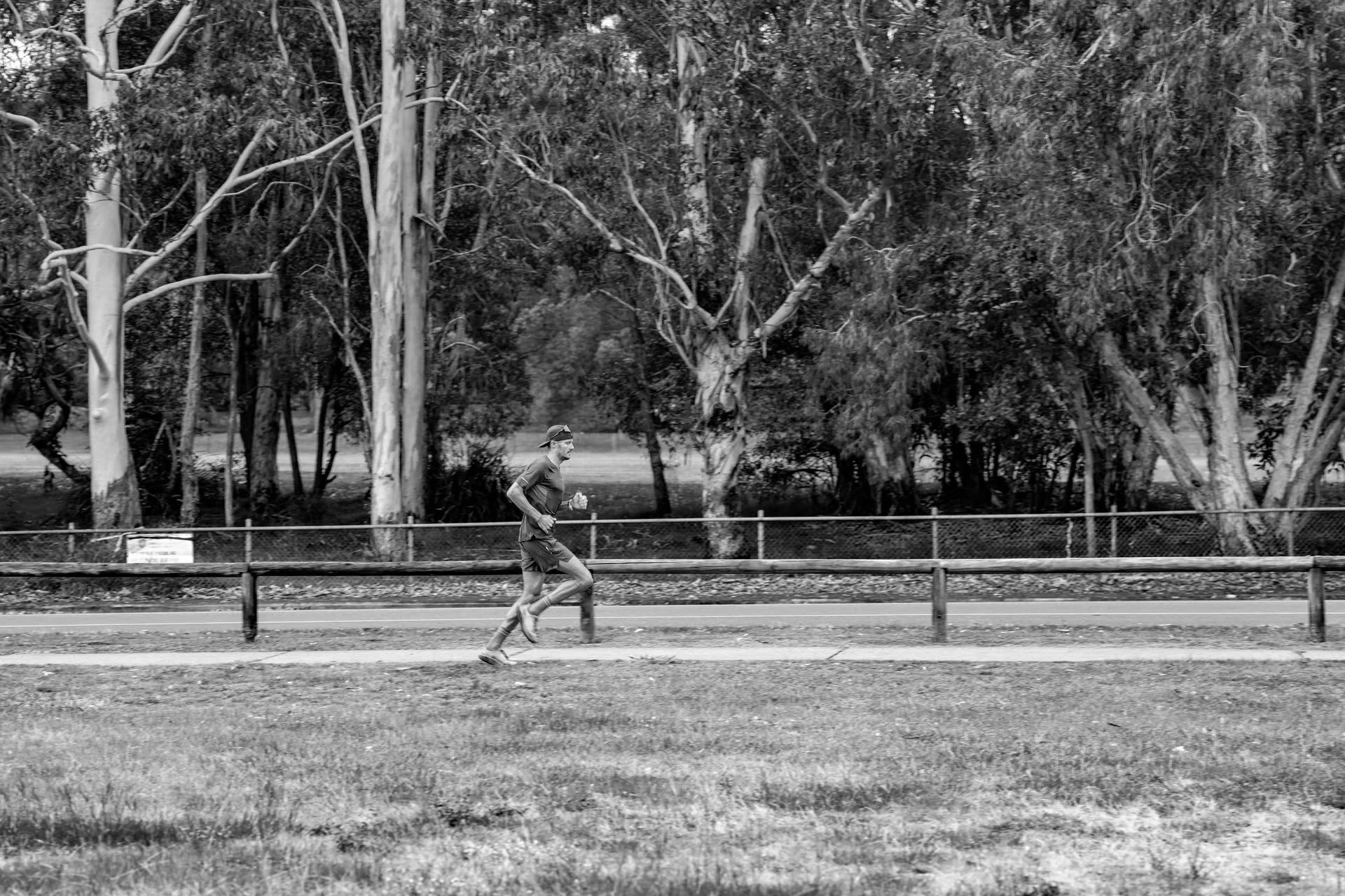 The Beauty of a Goal