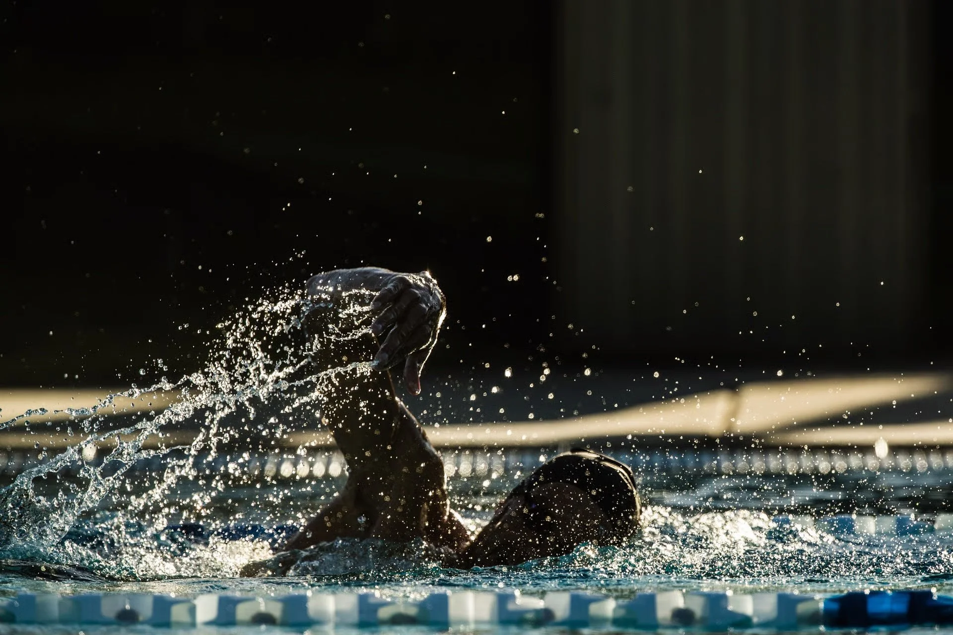 The Paradox of Performance: Ferocity + Fluidity