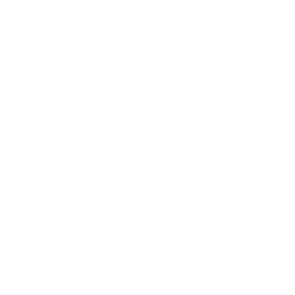 Icon Payments and insurance Brighton Veterinary Cardiology