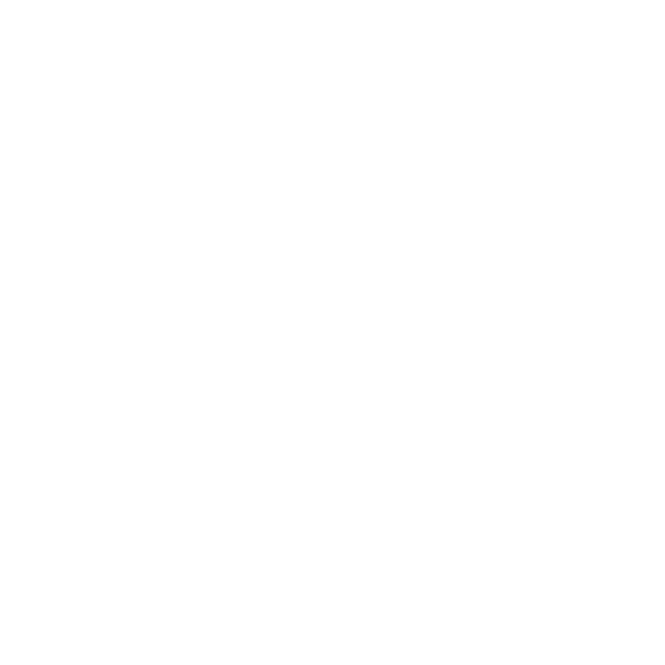 Checklist icon with three checkmarks and a magnifying glass examining documents clinical research Gavin McAulay. Brighton Vet Cardiology.