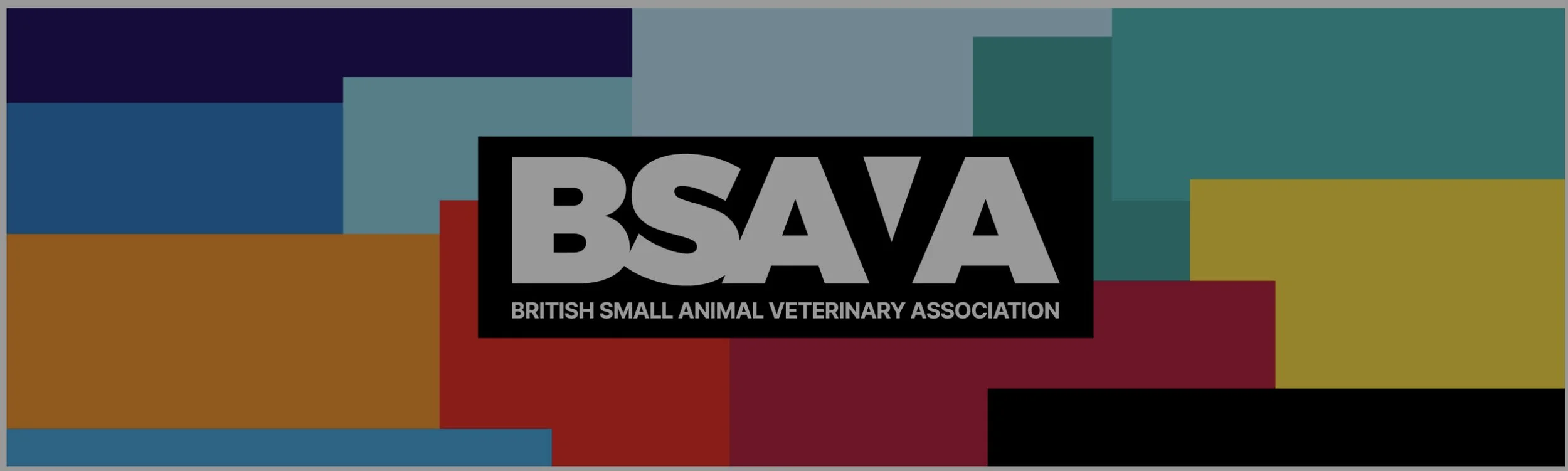 Logo of the British Small Animal Veterinary Association (BSAVA) with colorful rectangular background
