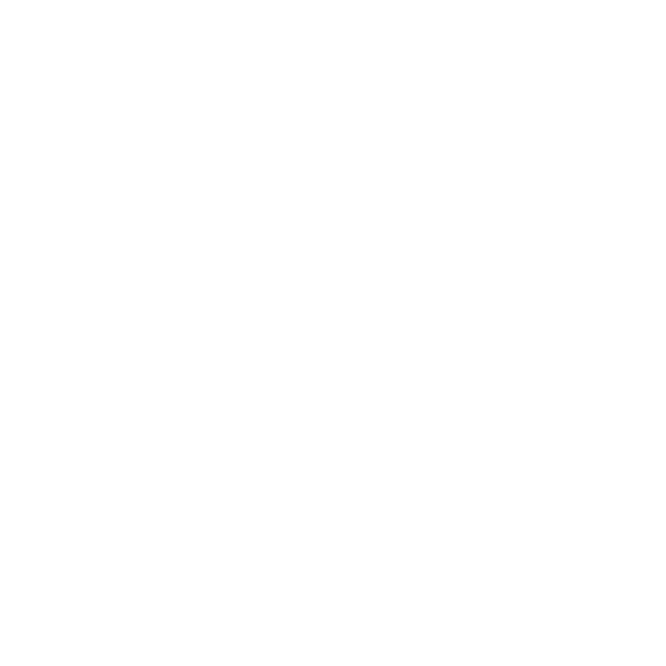 Icon of a heart with an electrocardiogram line inside a rectangular screen. South East Vet Cardiology Club. Sussex, Brighton.
