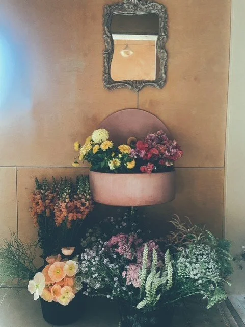 Society Flowers cut flowers buckets conditioning. 