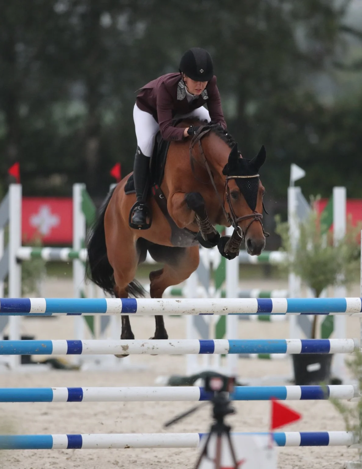Amazone te paard tijdens een springwedstrijd