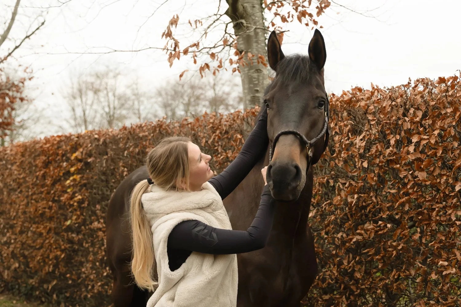 Paardenfysiotherapeut aan het werk op een stal in Noord-Brabant