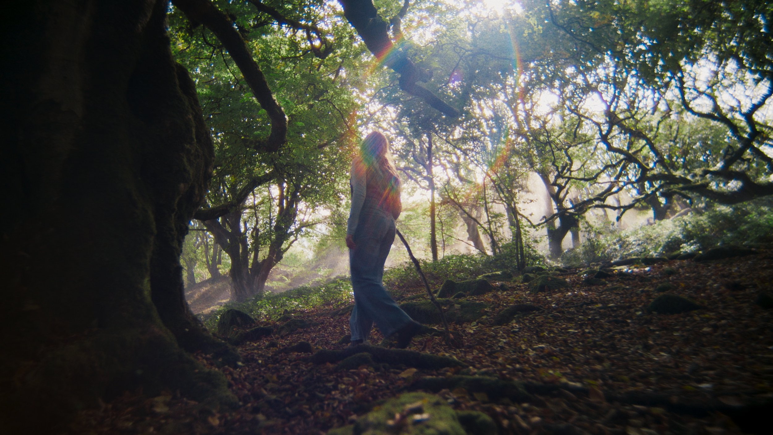 NIssan Commercial Freelance Colourist London Colorist DaVinci Resolve Baselight