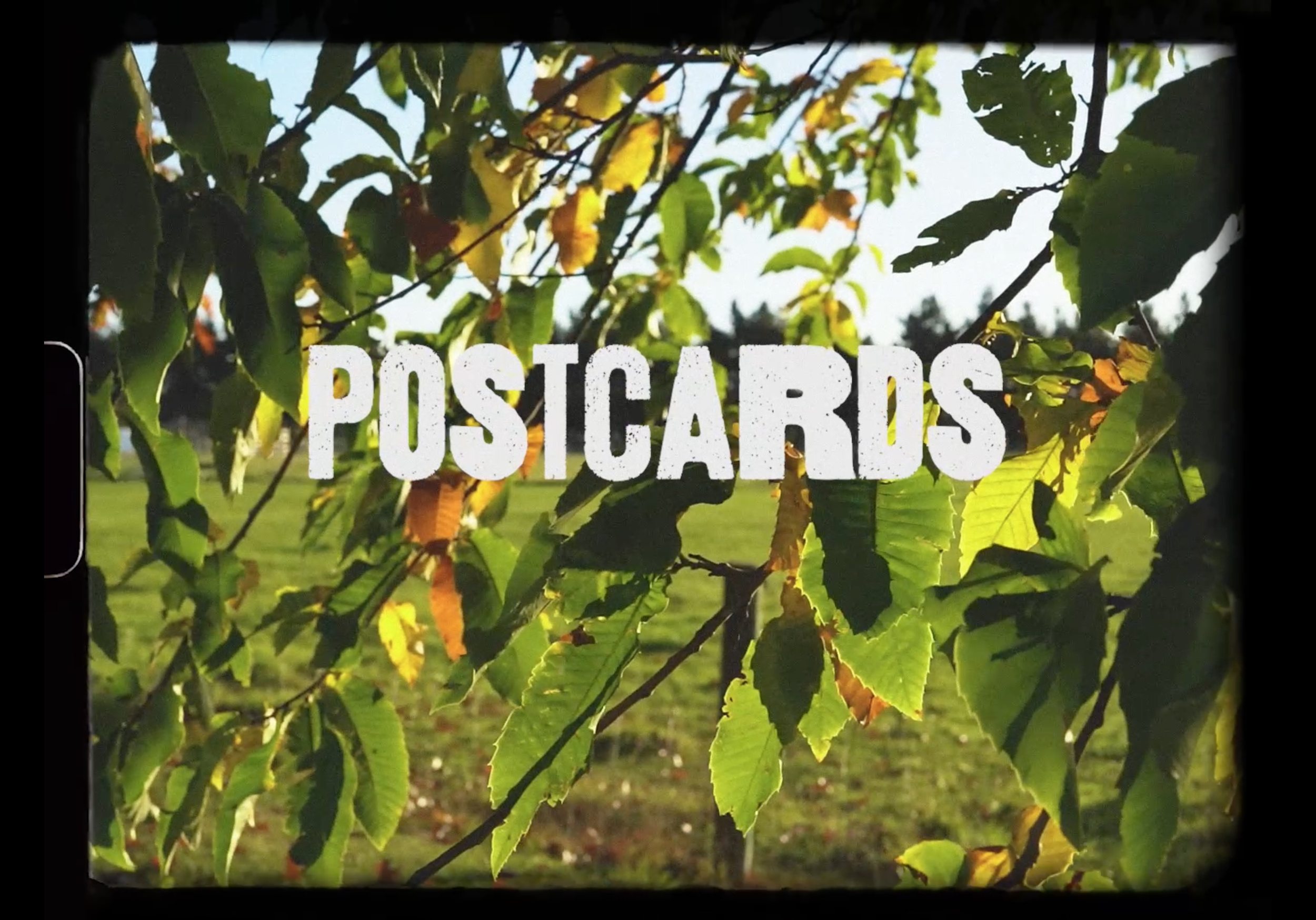 POSTCARDS