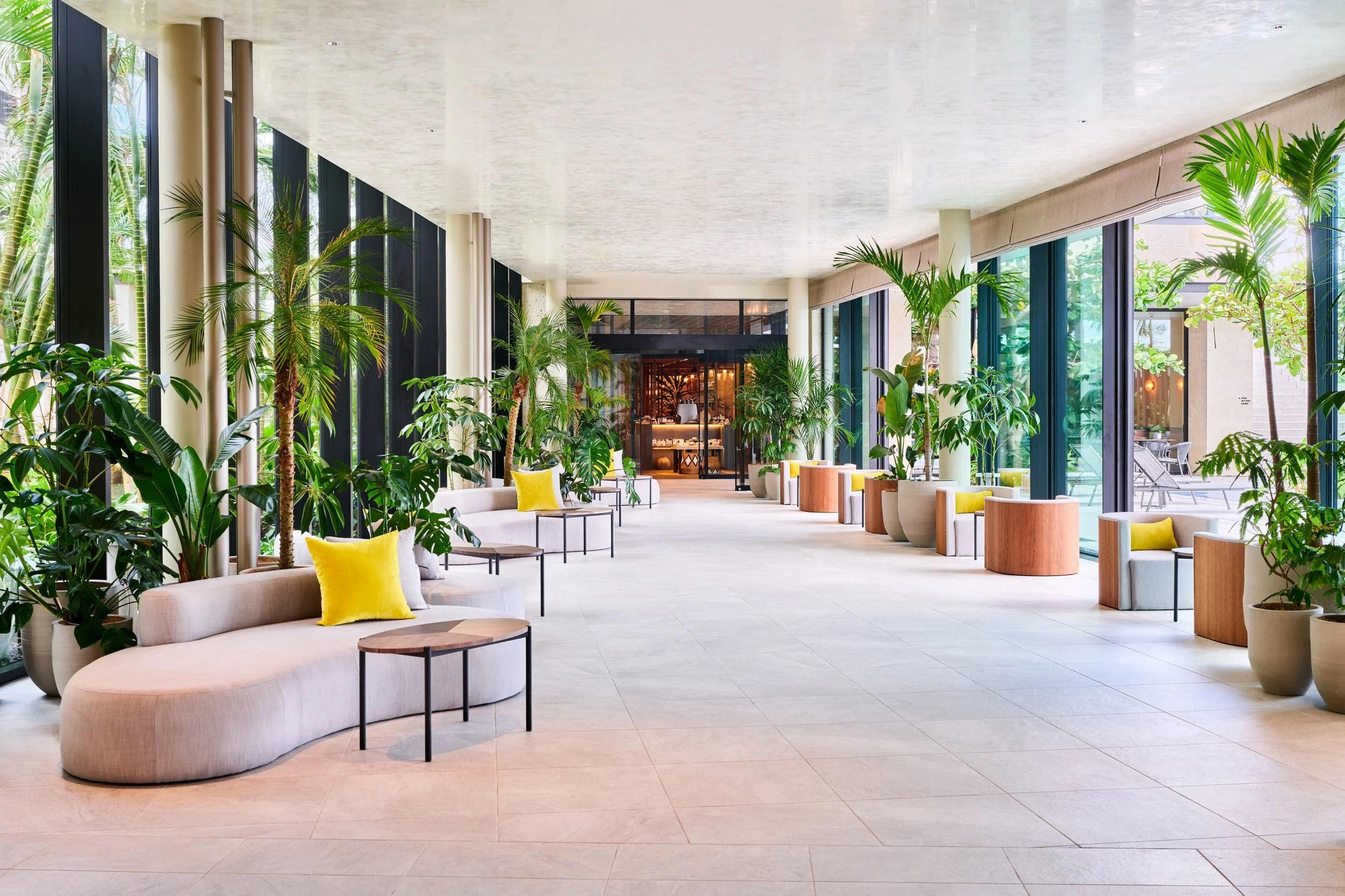 Hotel lobby interior with plants and natural light