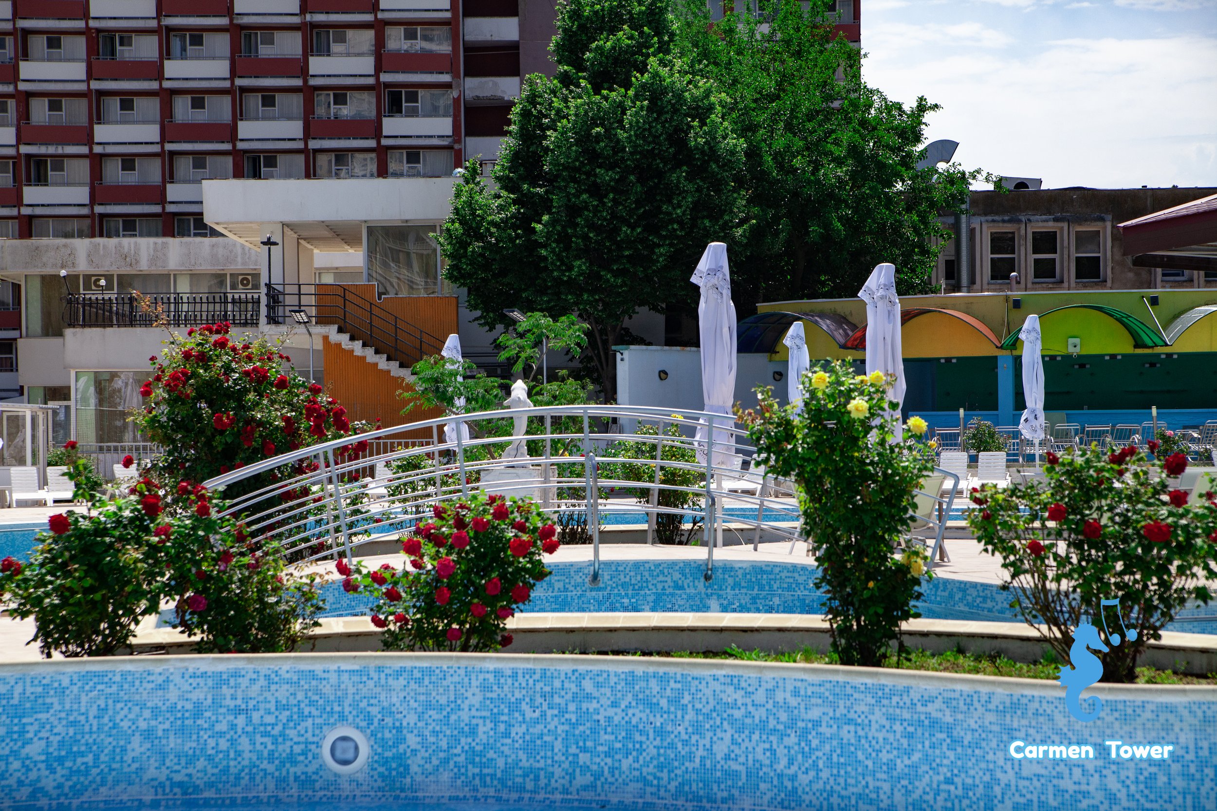 carmen tower poze 2026 (55 of 104).jpg