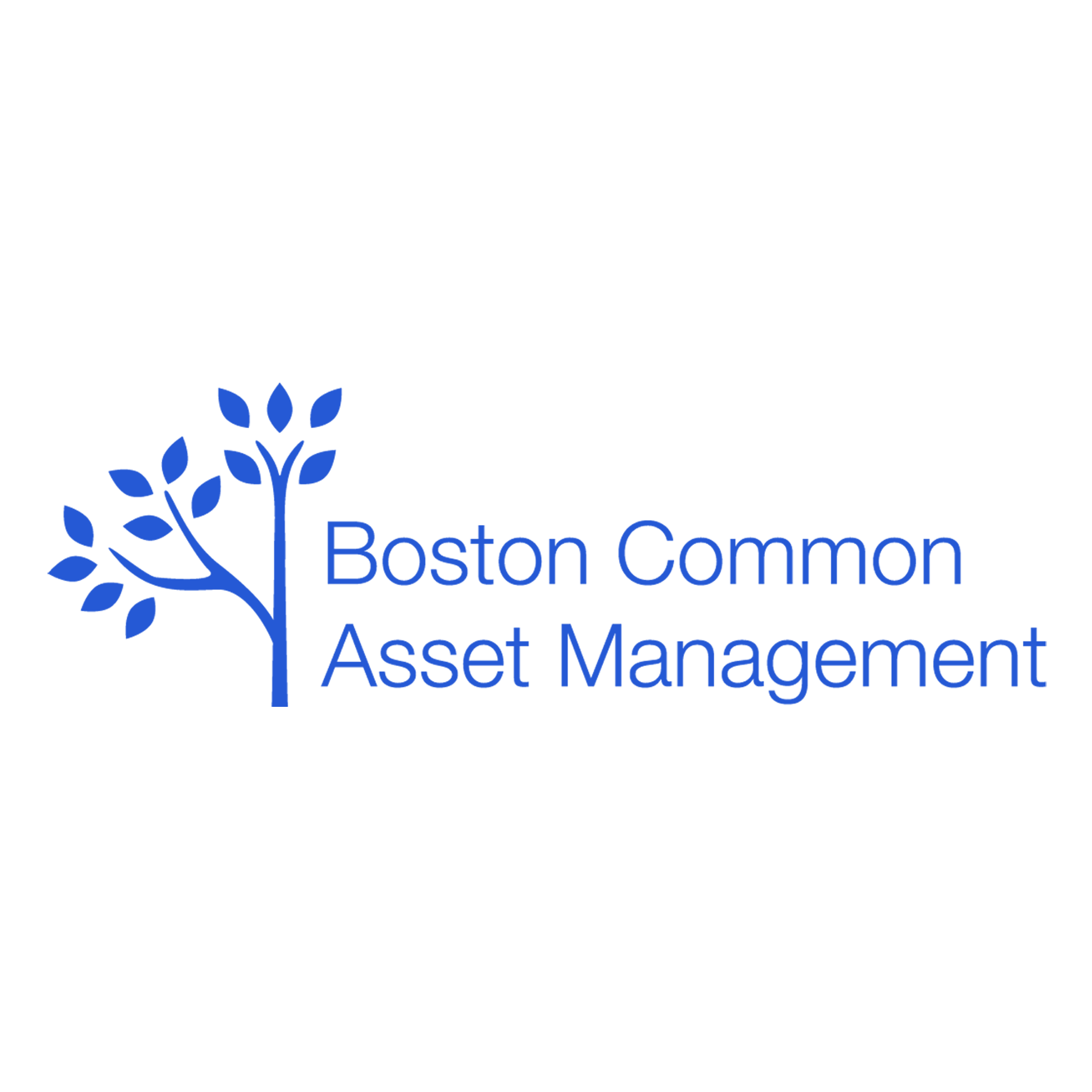 lb boston 1.png