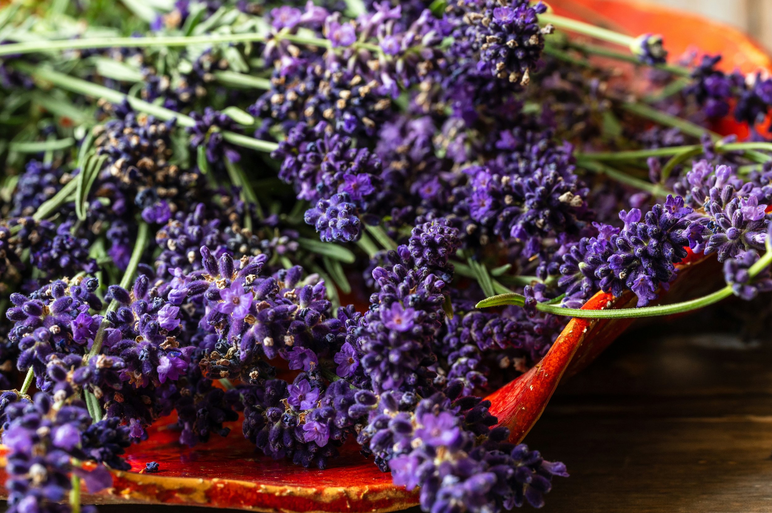 Lavendel Organic Ätherisches Öl 5ml