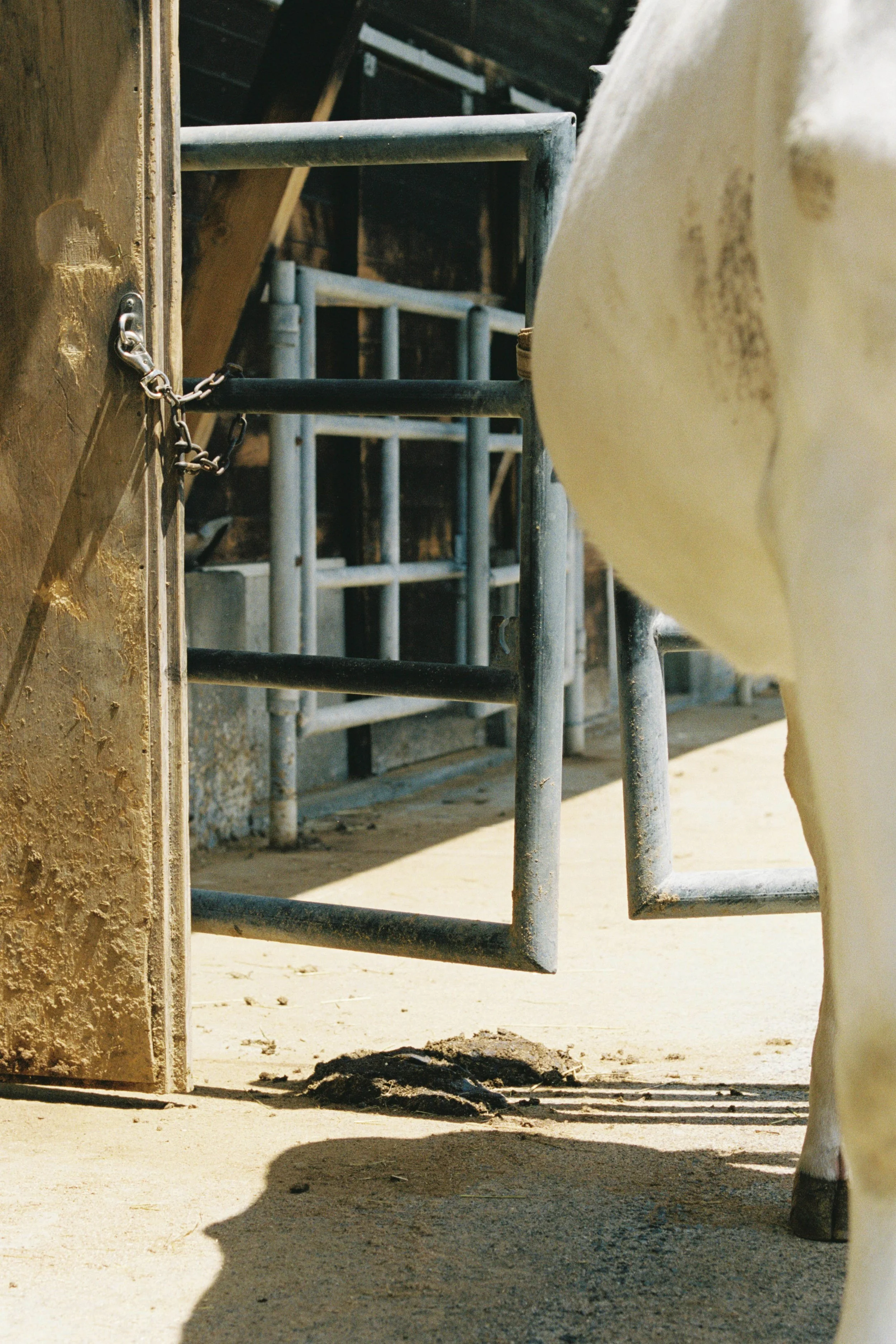 1088_09.jpg