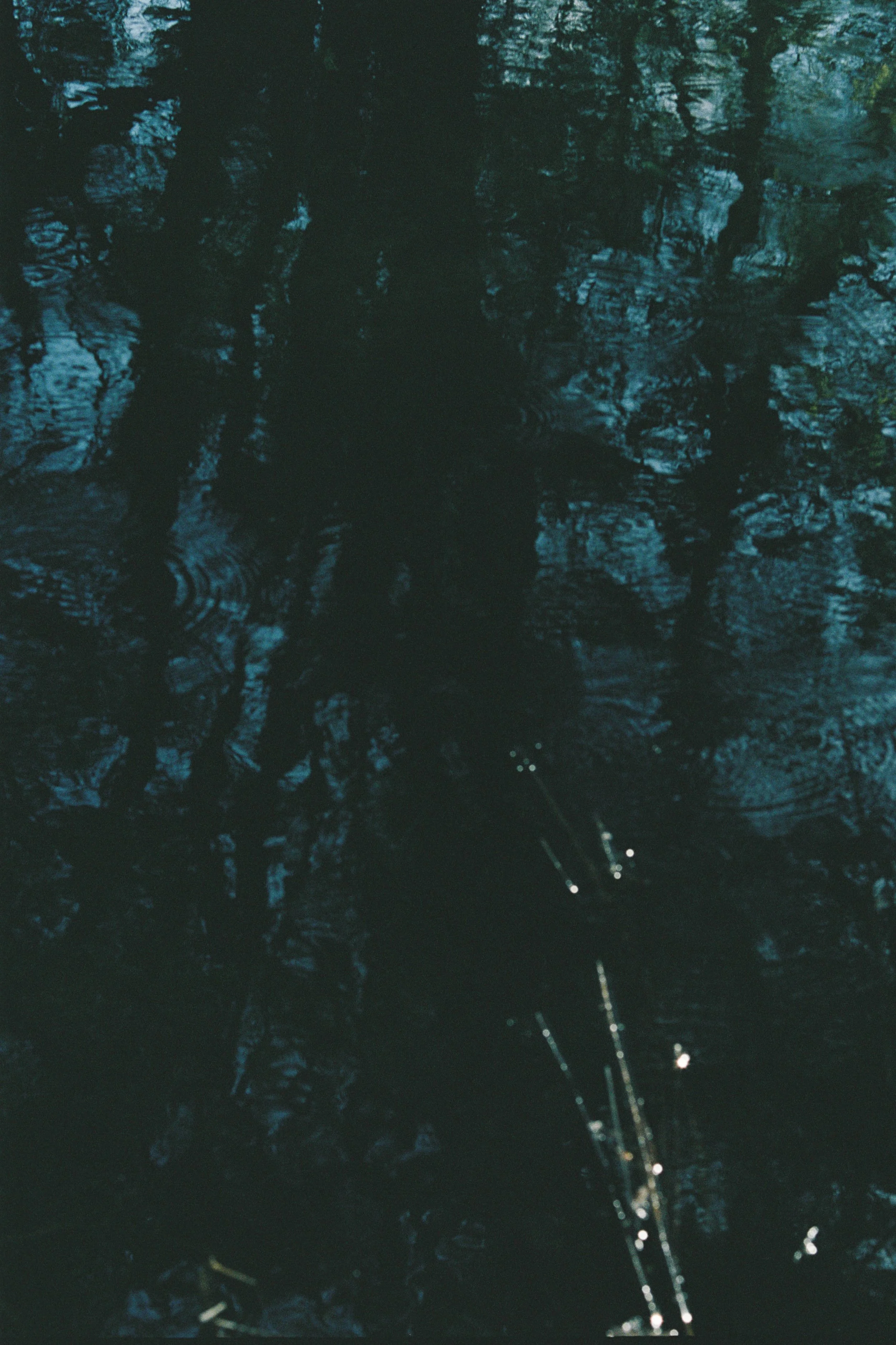 1087_16.jpg