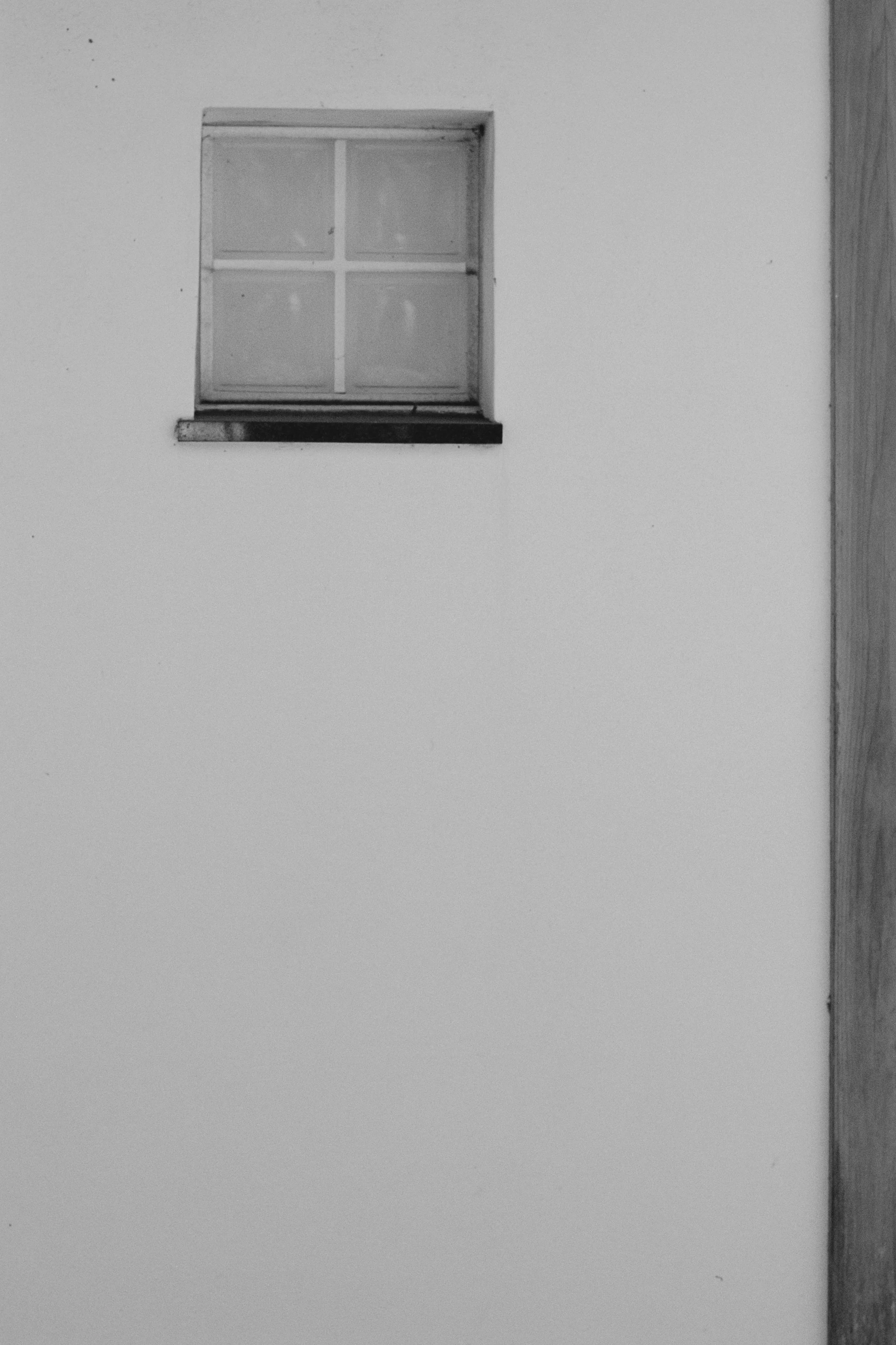 1293_07.jpg