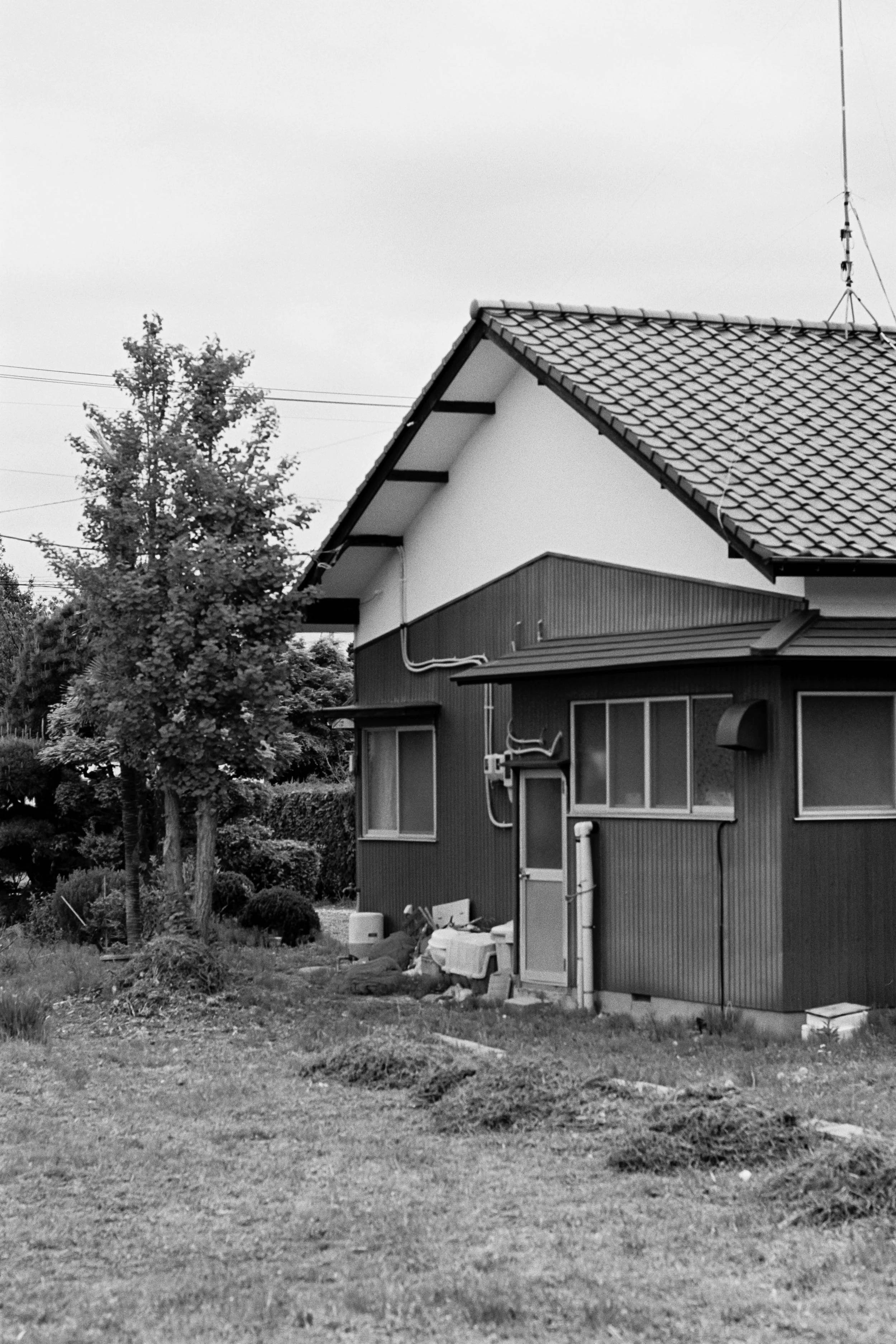 1087_33.jpg