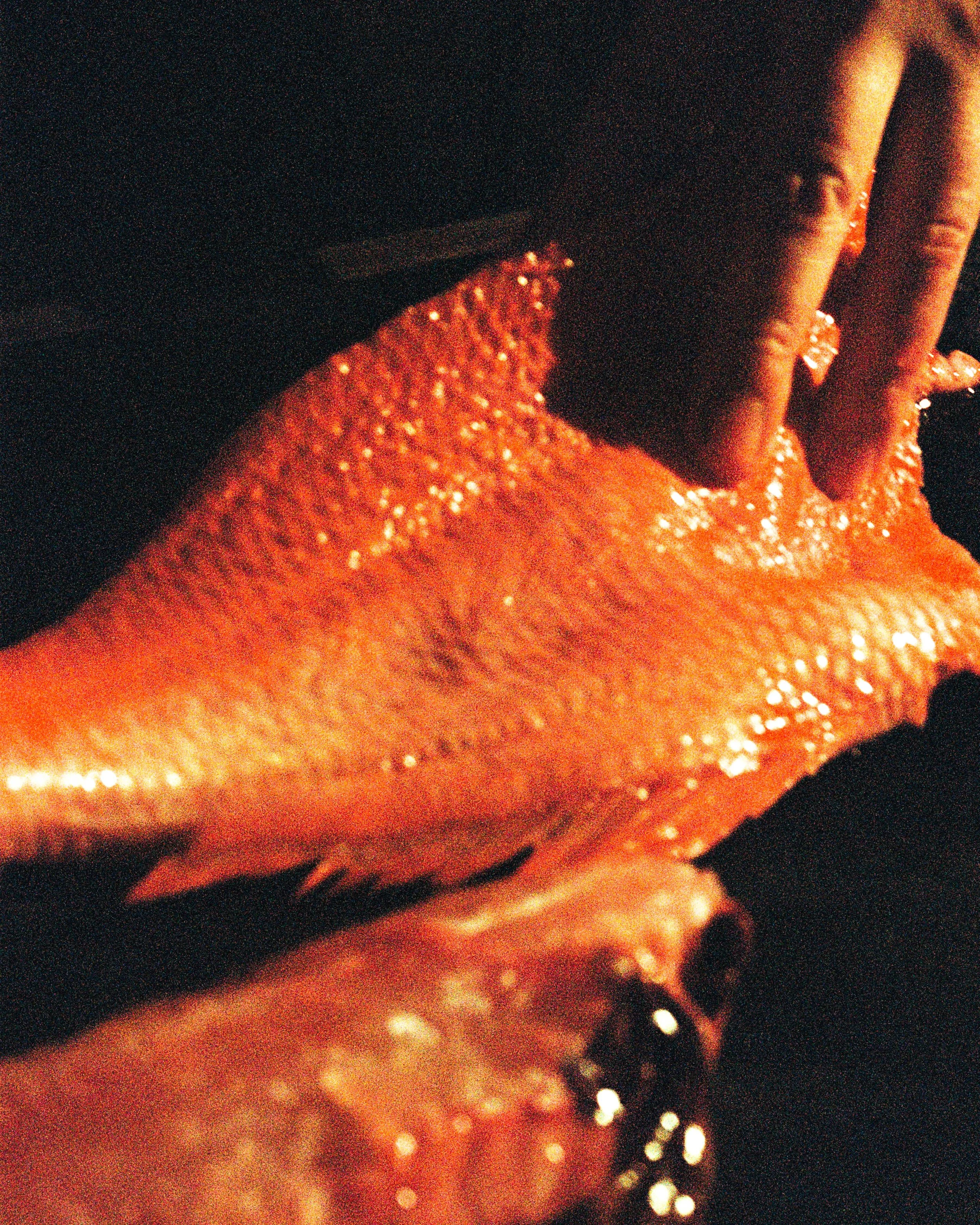 1782_31.jpg