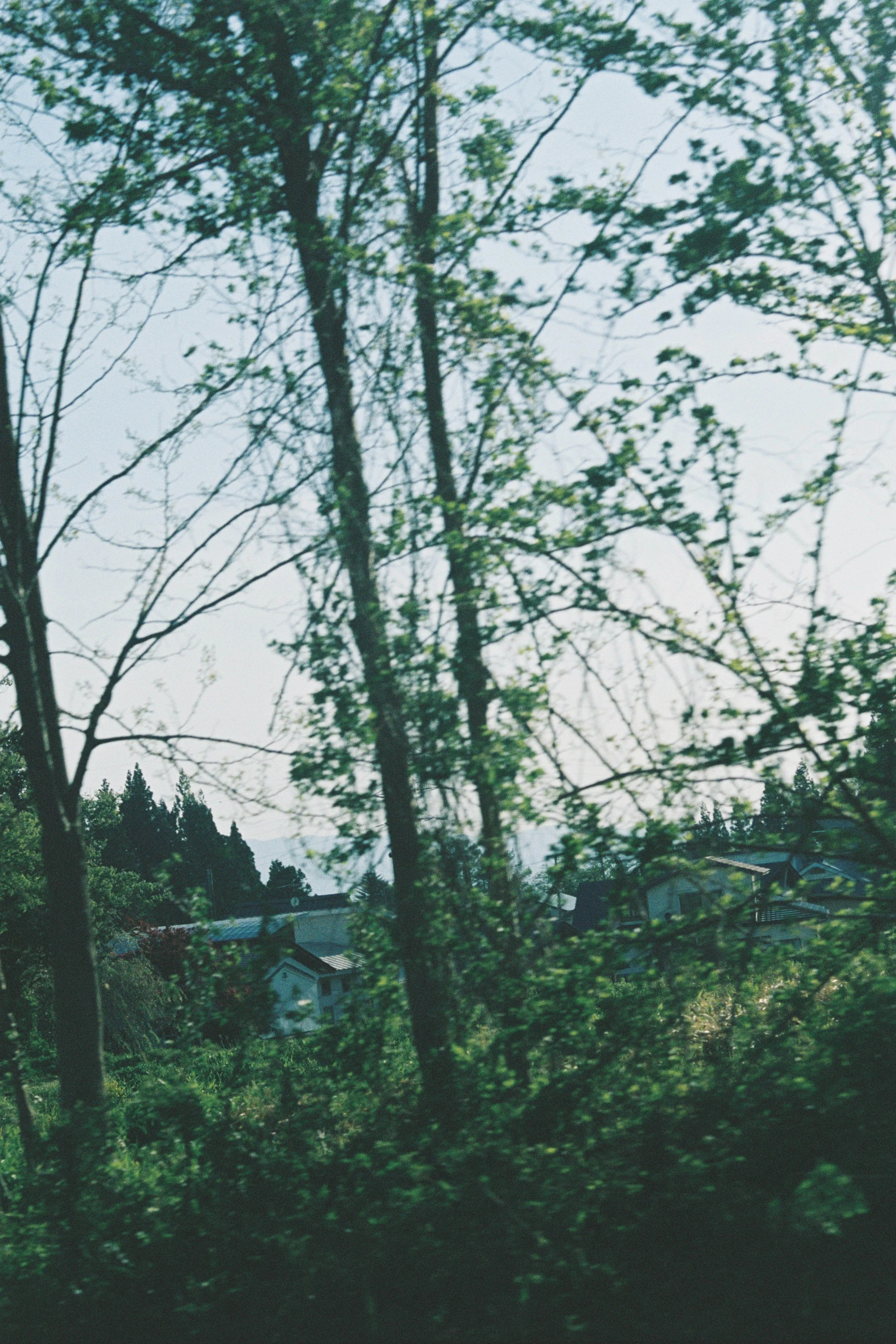 1087_24.jpg