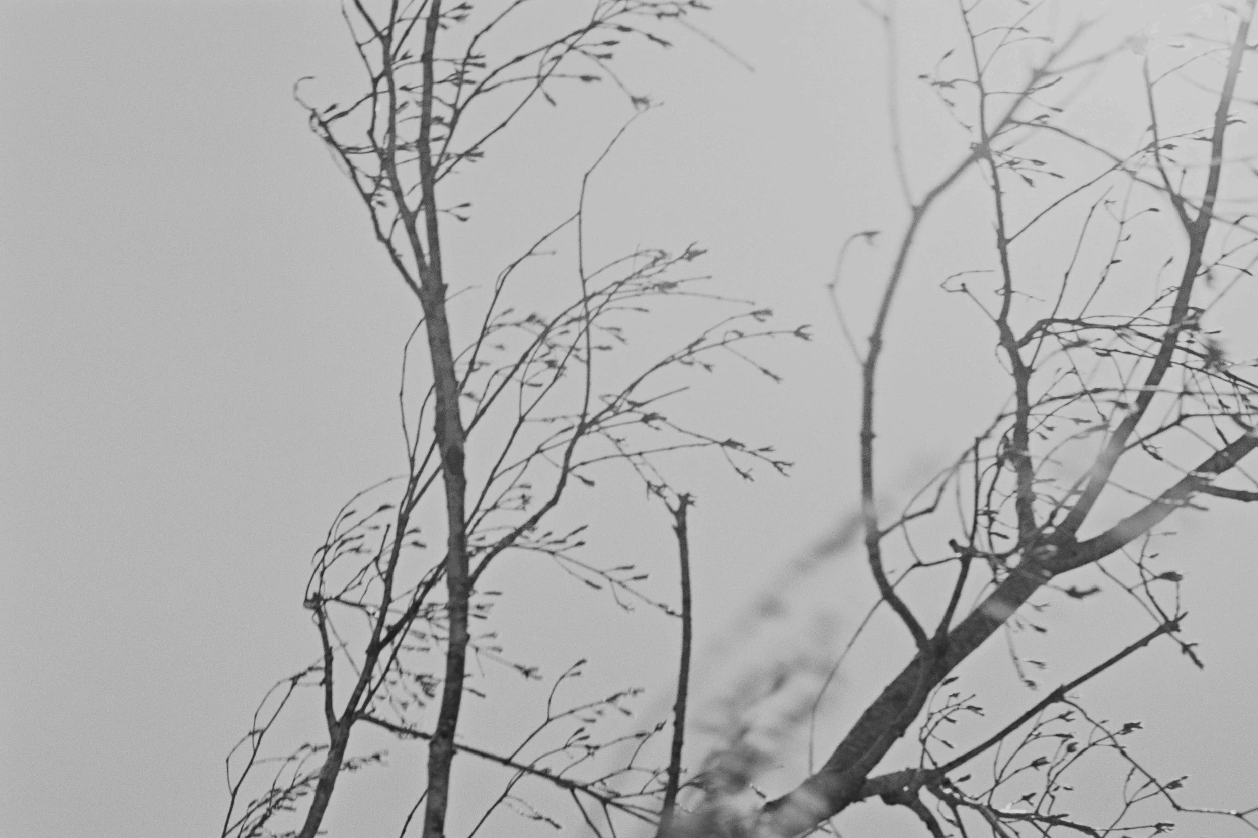 1087_10.jpg