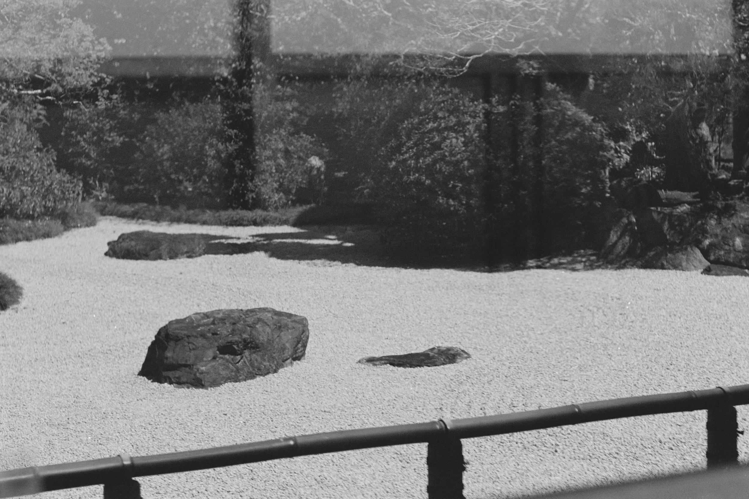 1293_01.jpg