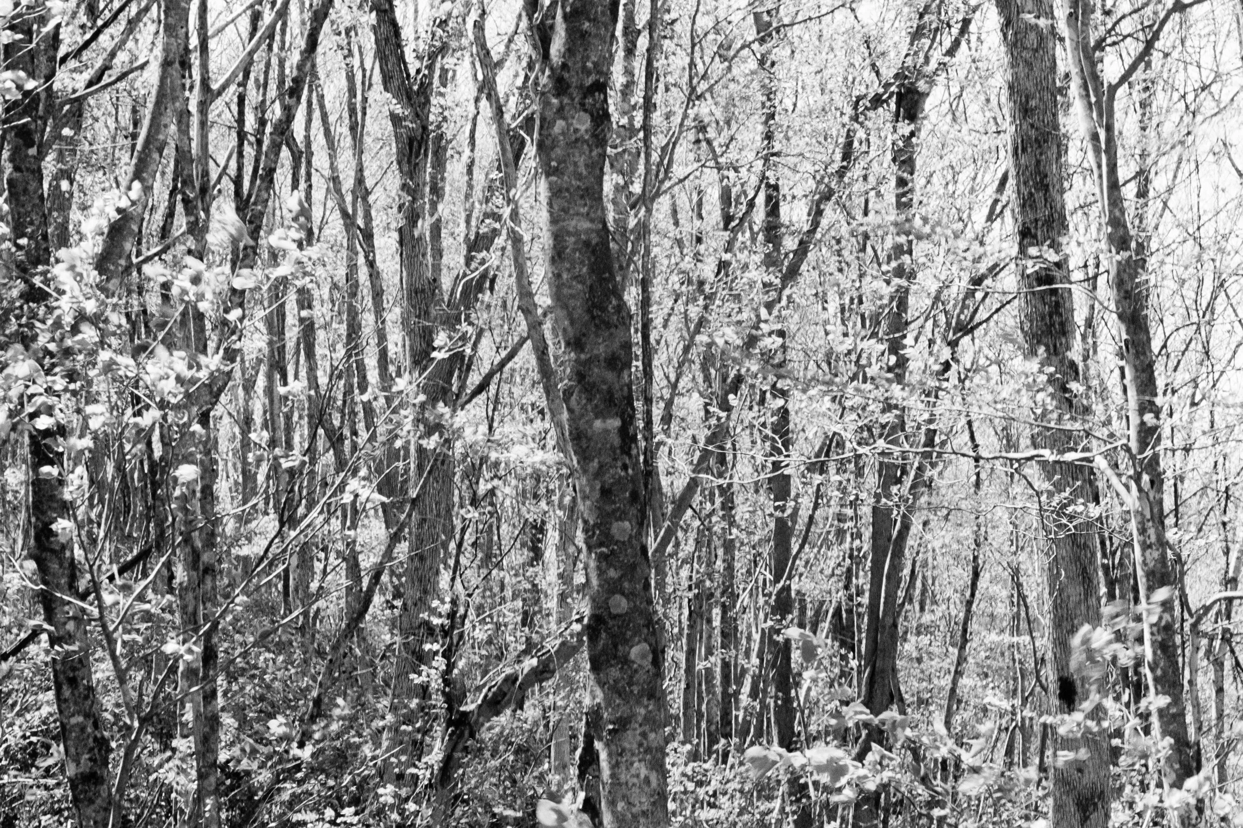 1087_01.jpg