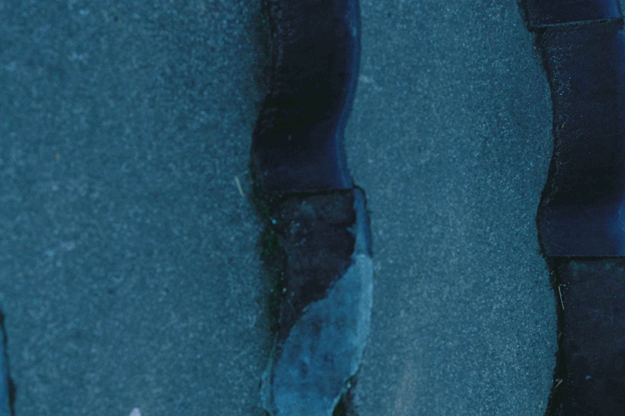 1293_03.jpg
