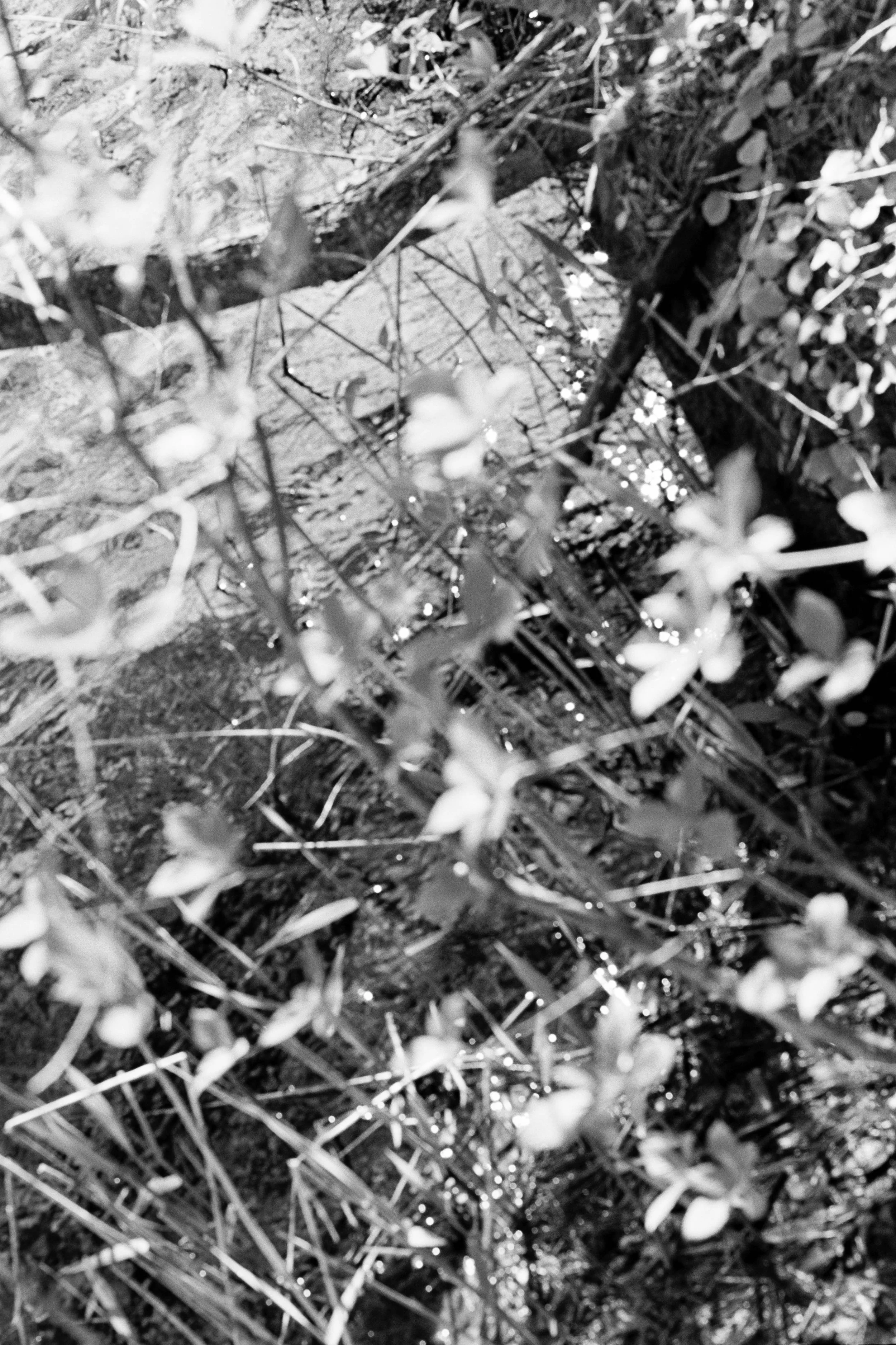 1087_14.jpg