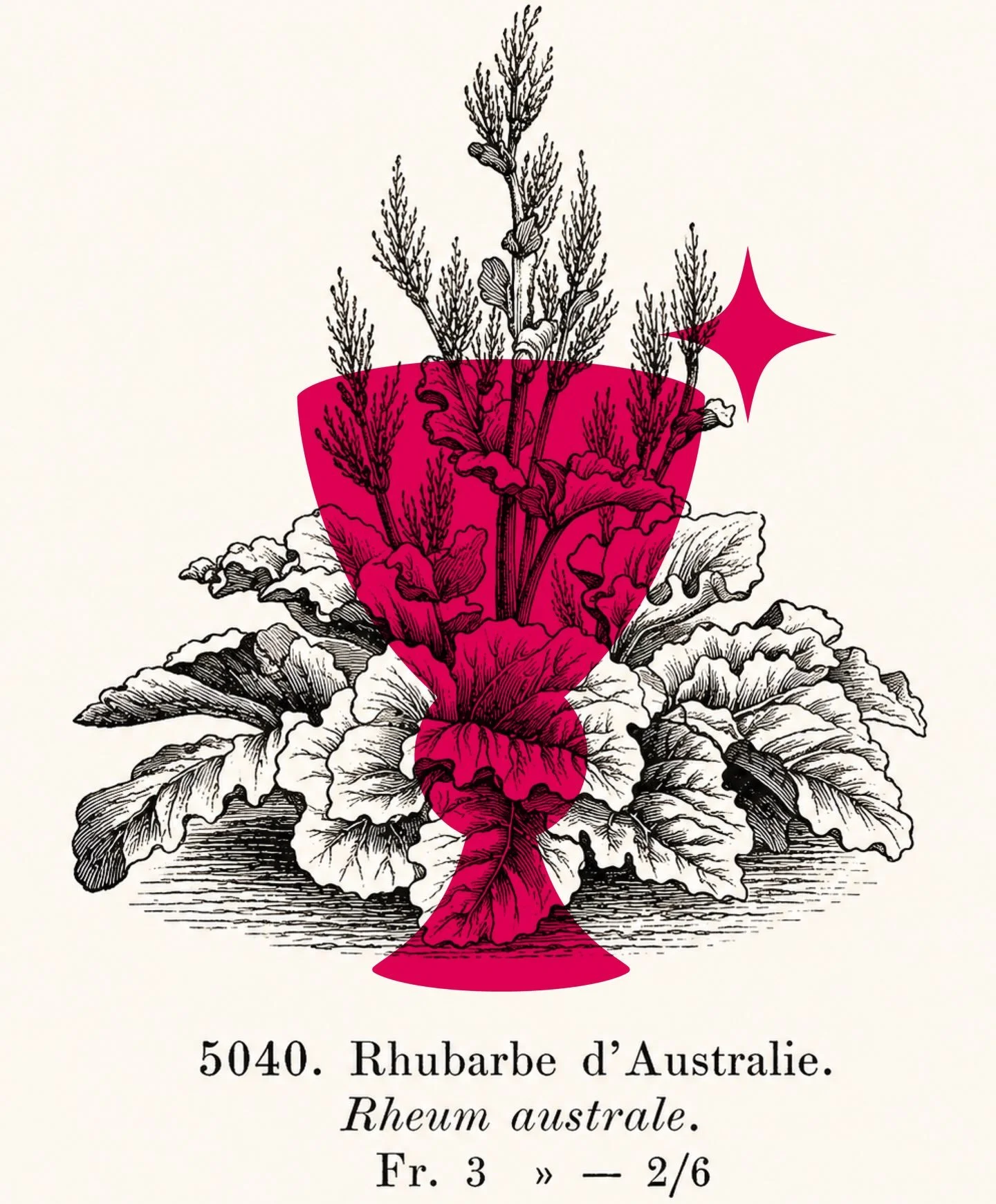 As English as rhubarb.

Rheum officinale. Rheum hybridum. Rheum australe.

All roads lead to pink.

#drinkauberon #auberon #asenglishasrhubarb #yorkshirerhubarb #englishrhubarb #rhubarbseason #englishliqueur #craftliqueur #botanicals #drinkpink #brit