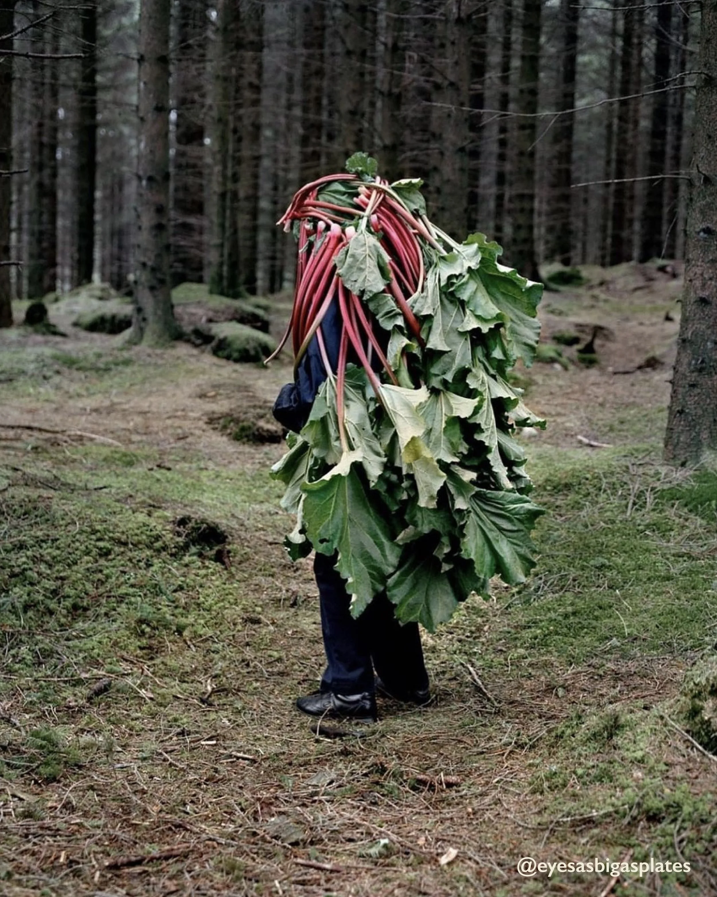 When someone asks if you've got enough rhubarb for the week @eyesbigasplates @karoline.hjorth 

Happy Monday. We've got this.

#drinkauberon #auberon #asenglishasrhubarb #mondaymood #yorkshirerhubarb #englishrhubarb #mondayvibes #rhubarbseason #craft
