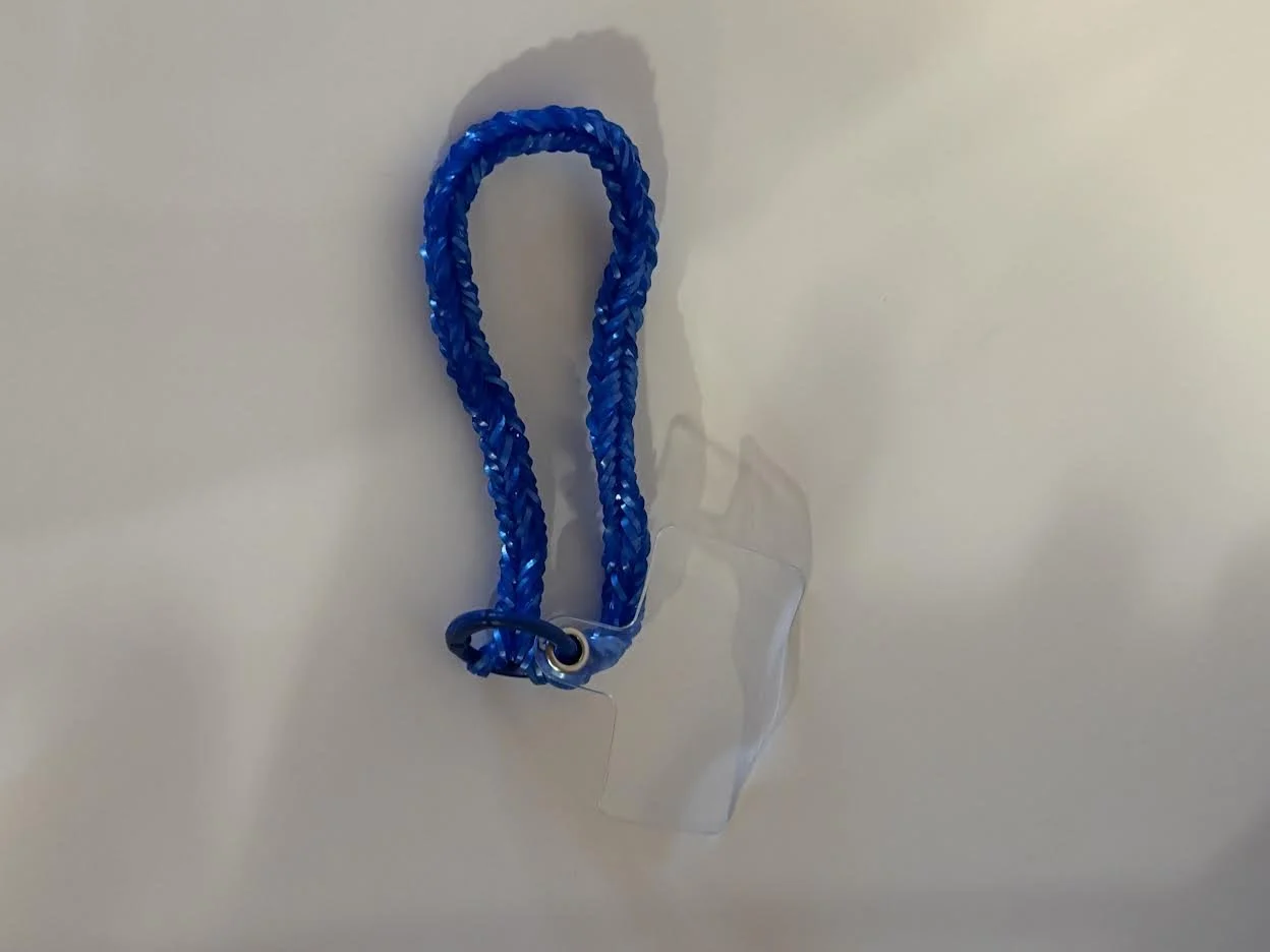 Rainbow Loom Phone Charm