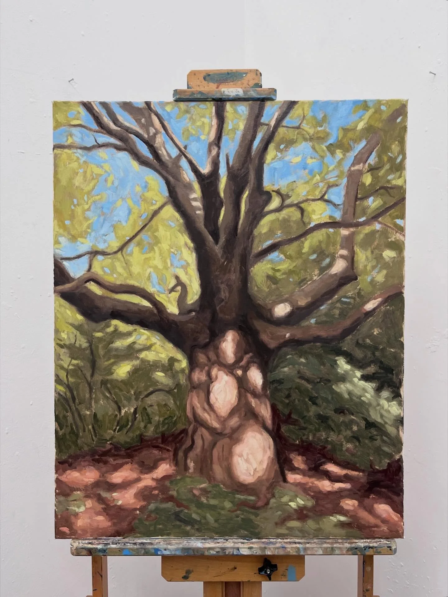 After a series of fairly technical portrait commissions, it&rsquo;s been good to get back to looser, more expressive work 💆&zwj;♂️
.
.
London Plane, Hampstead Heath.
Oil on canvas, 75 x 60cm.
.
.
.
.
#oilpainting #contemporarypainting #landscapepain
