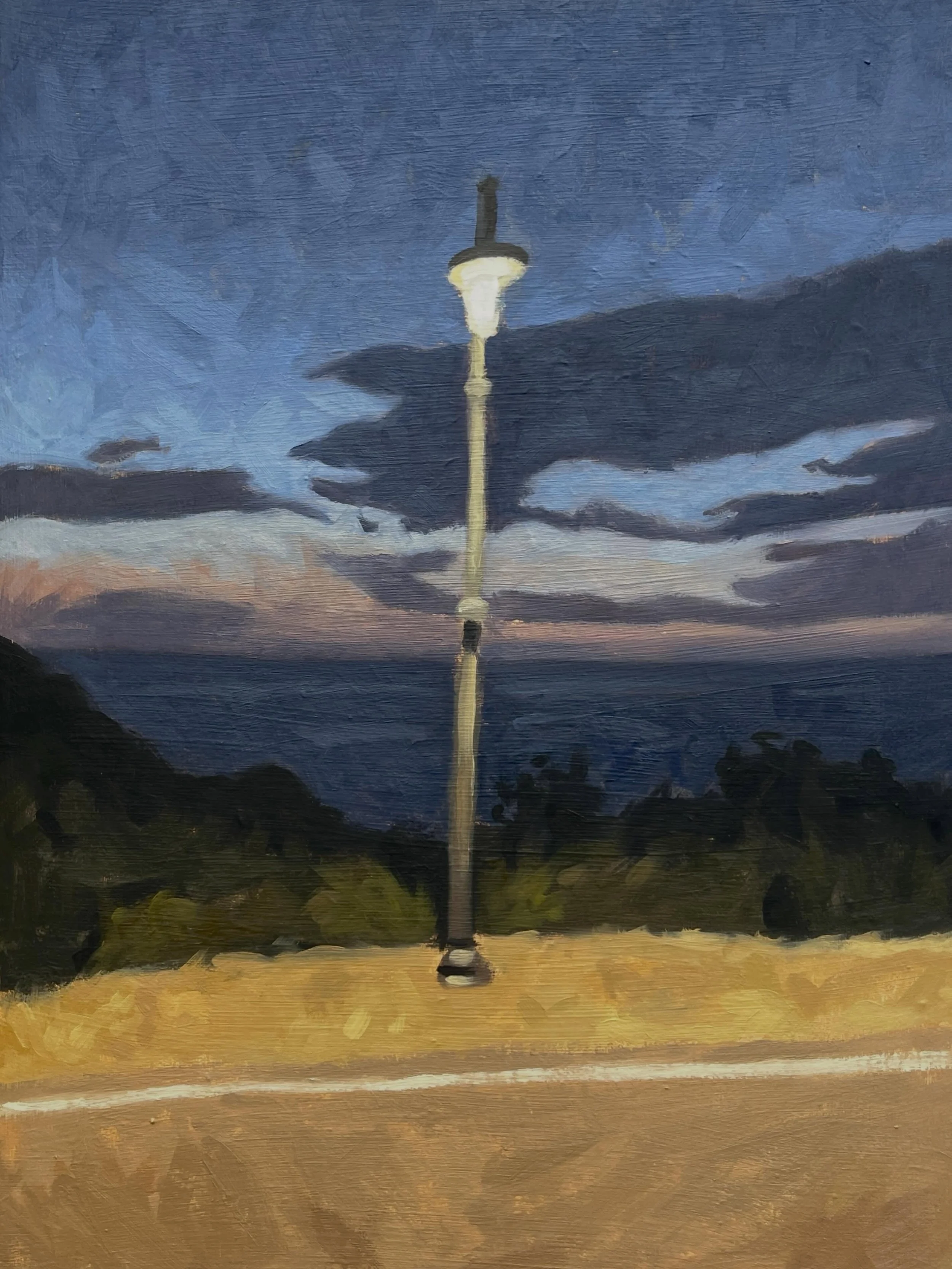 Elba Roadside
Oil on canvas, 40 x 30 cm 
.
.
.
#oilpainting #landscapepainting #moodpainting #eveninglight