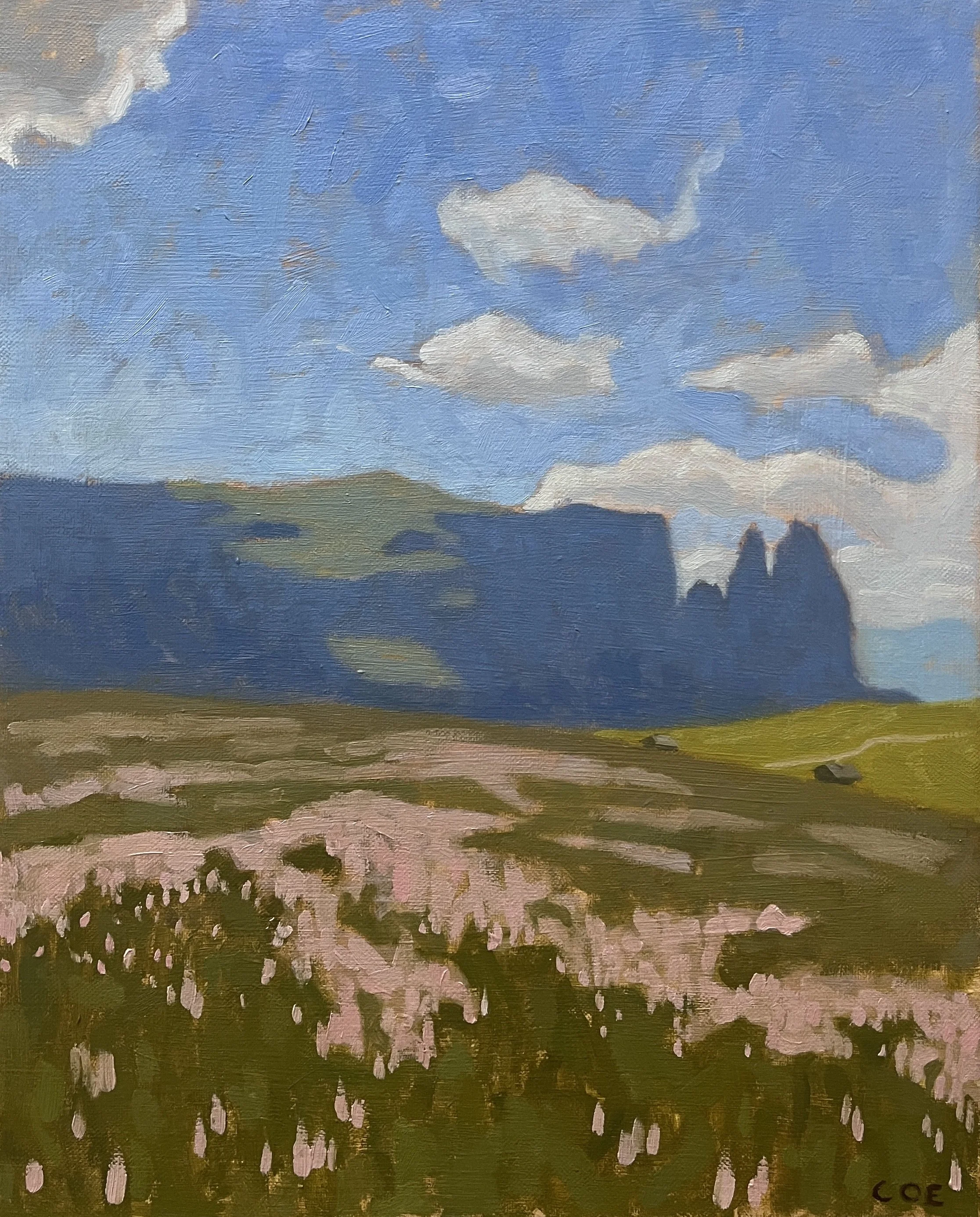 Alpine Meadow, Dolomites