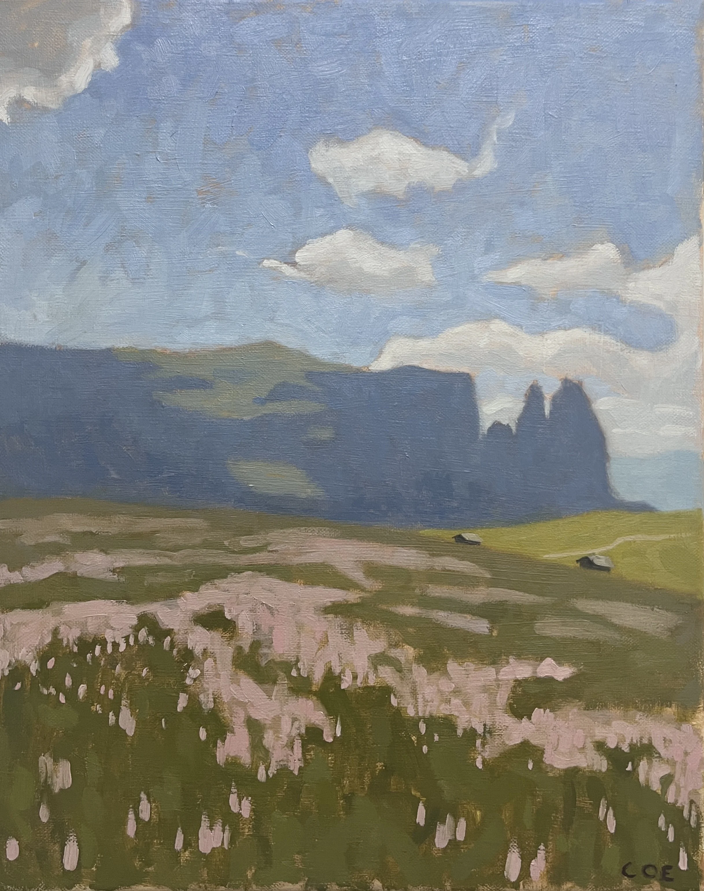 Alpine Meadow, Dolomites