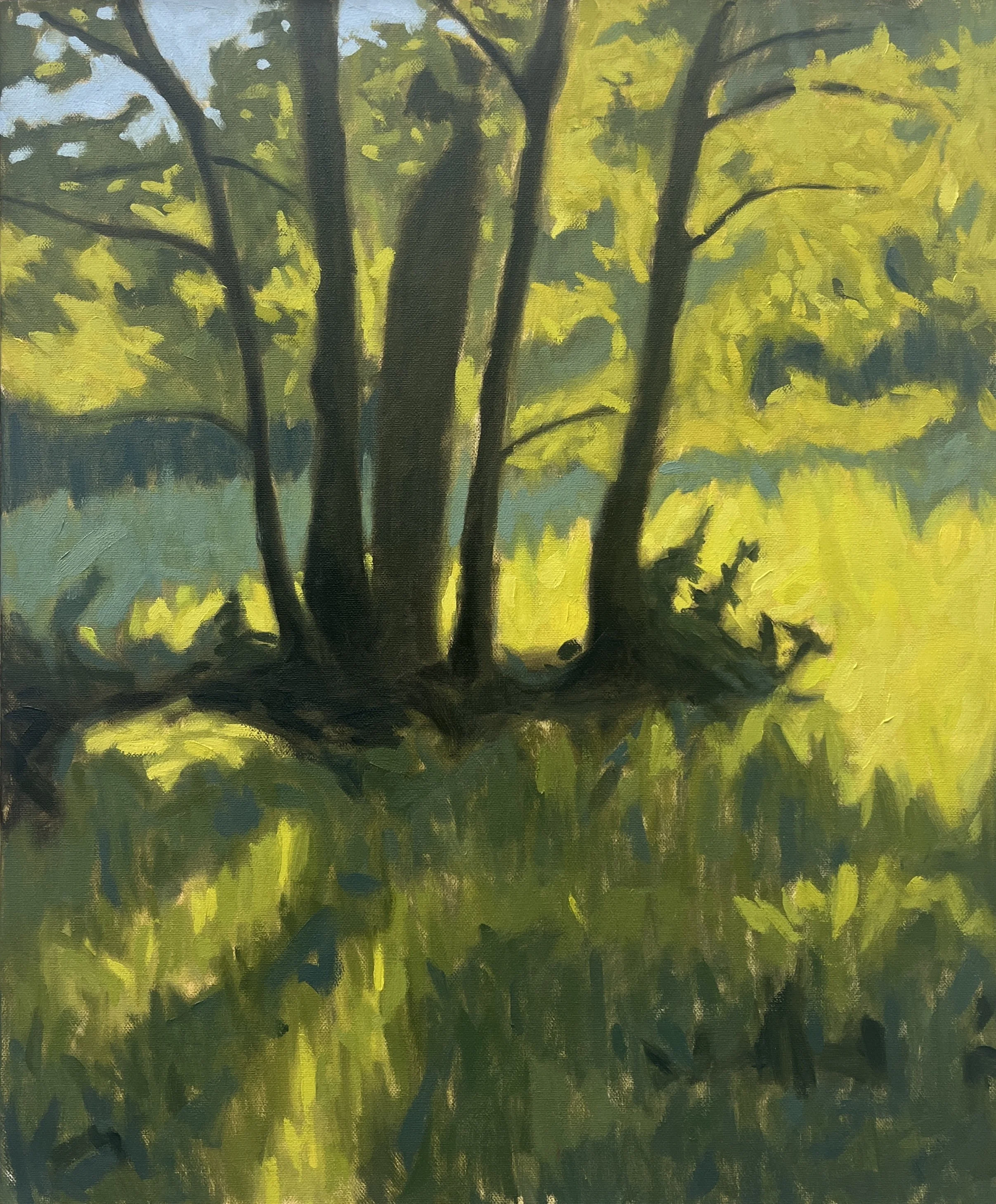 Hampstead Light