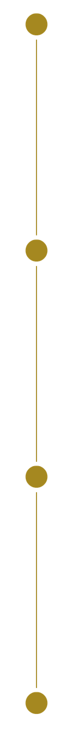 Eine vertikale künstlerische Darstellung mit goldenen Kreisen und Linien auf schwarzem Hintergrund.