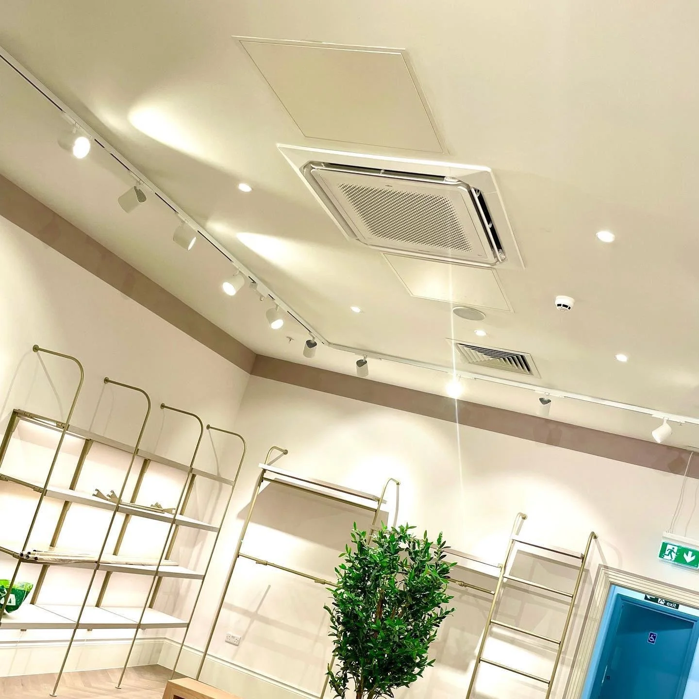 Empty retail space with metal shelves, a green indoor plant, and a blue door.