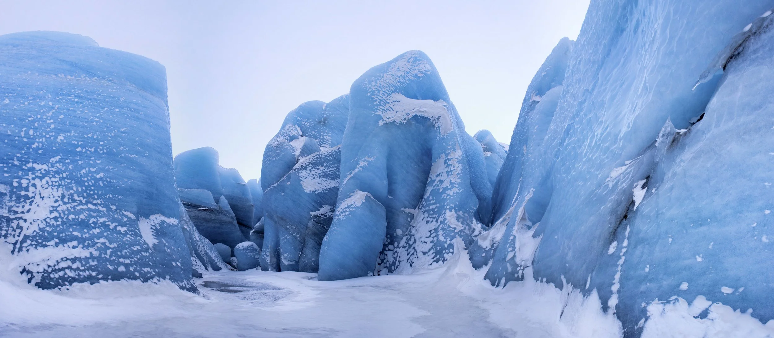 20220205-[Group 0]-_DSC7502_3_4__DSC7538_39_40-13 images.jpg