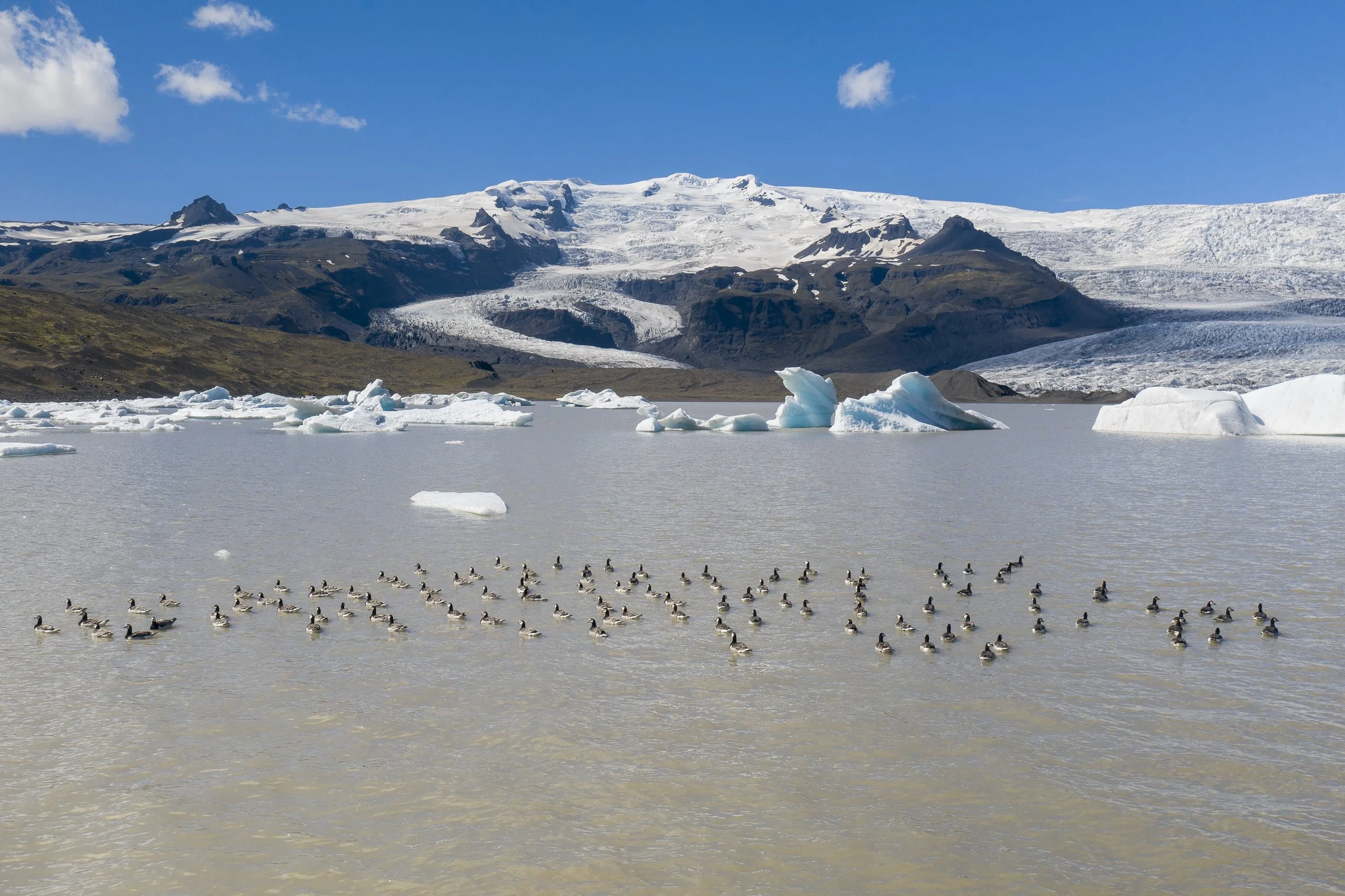 20220714-DJI_0464.jpg