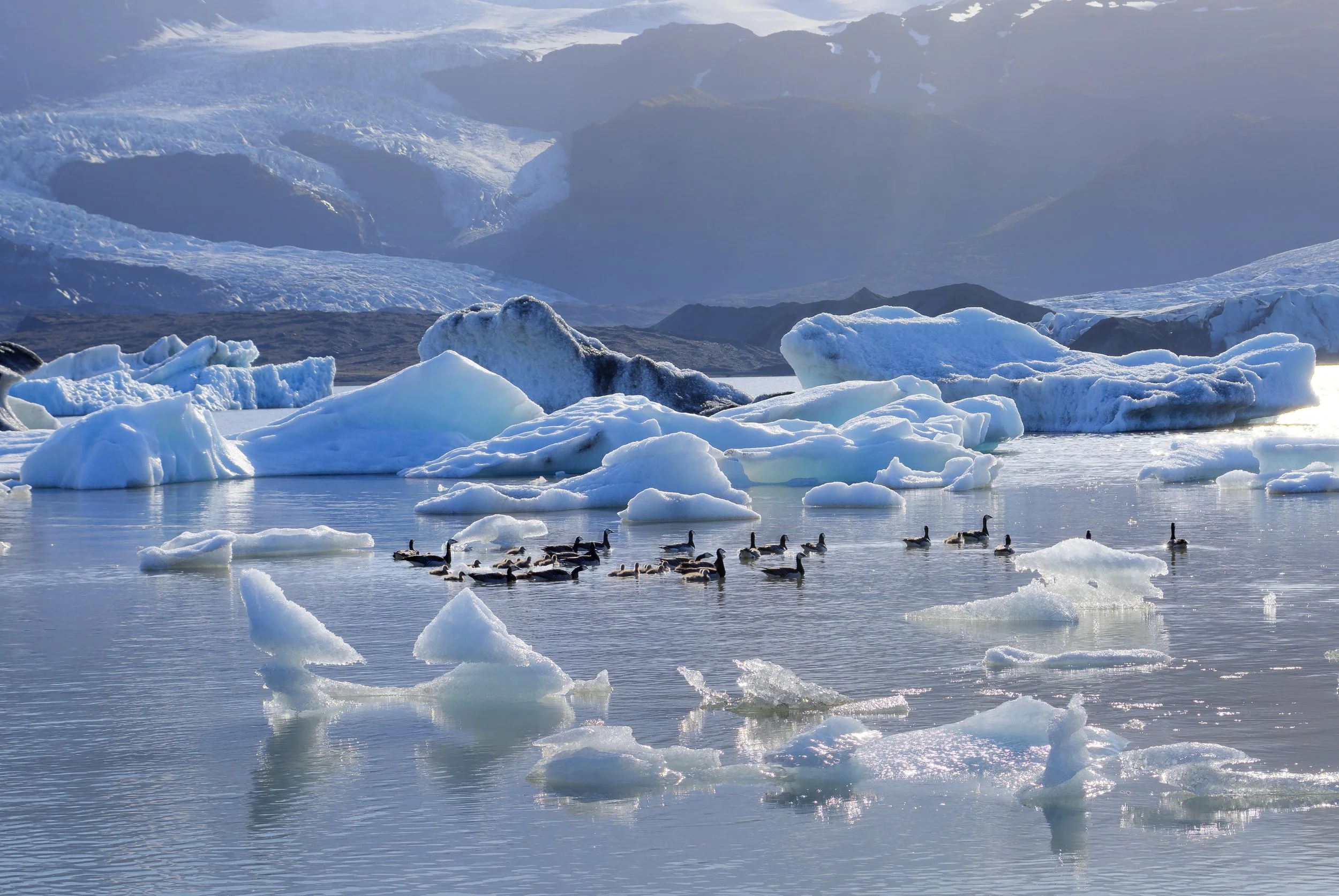 Fjallsarlon_Juni19HDR3-.jpg
