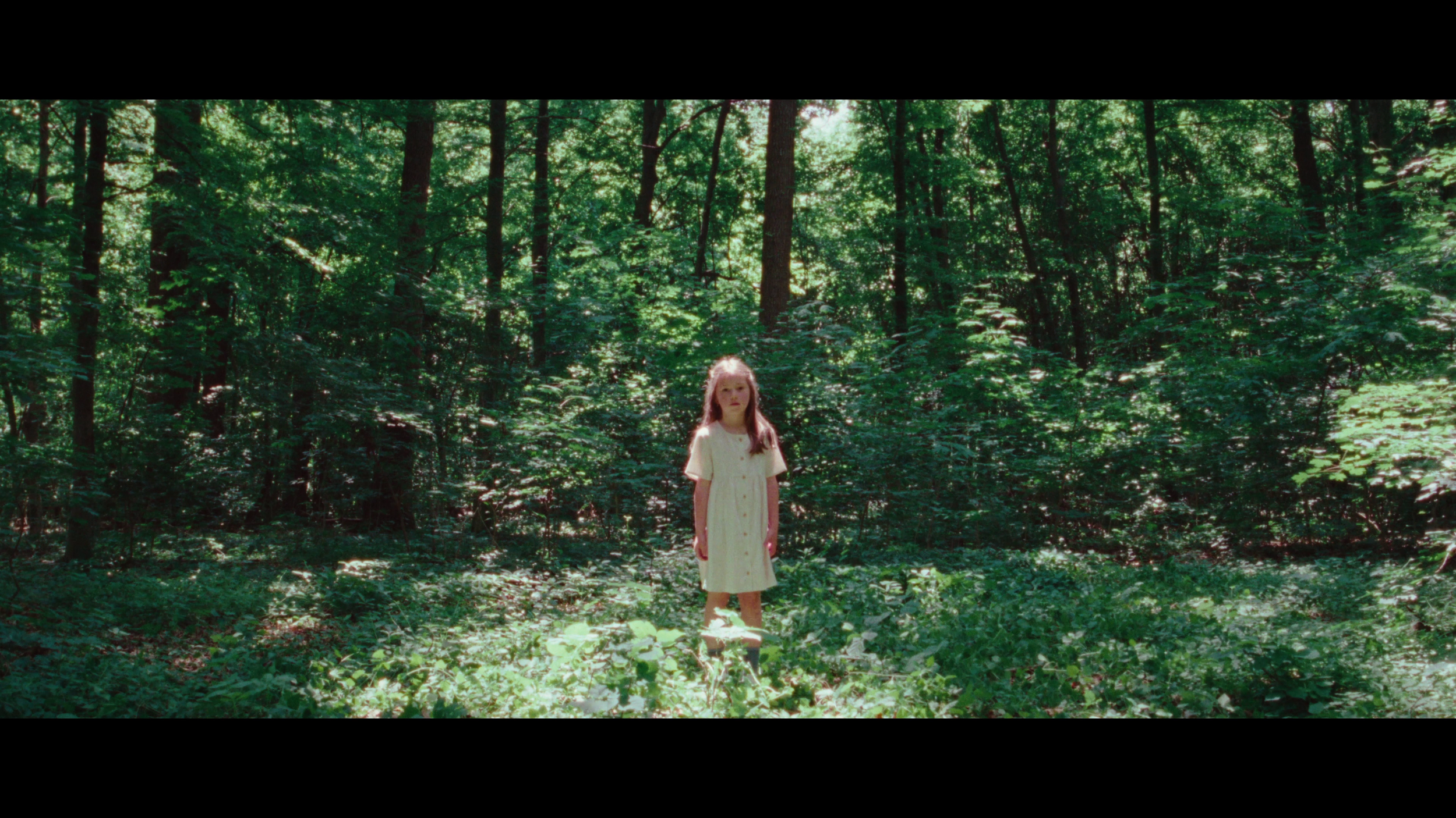 A young girl with long hair wearing a light-colored dress standing alone in a dense forest with sunlight filtering through the trees.