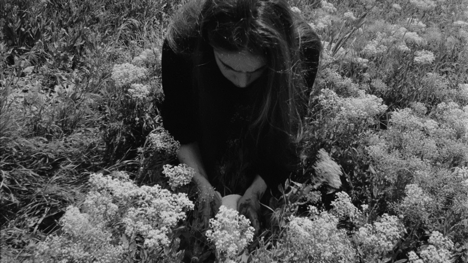 A person with long hair, wearing dark clothing, is crouching in a field of tall, flowering plants, looking down and reaching toward the flowers.