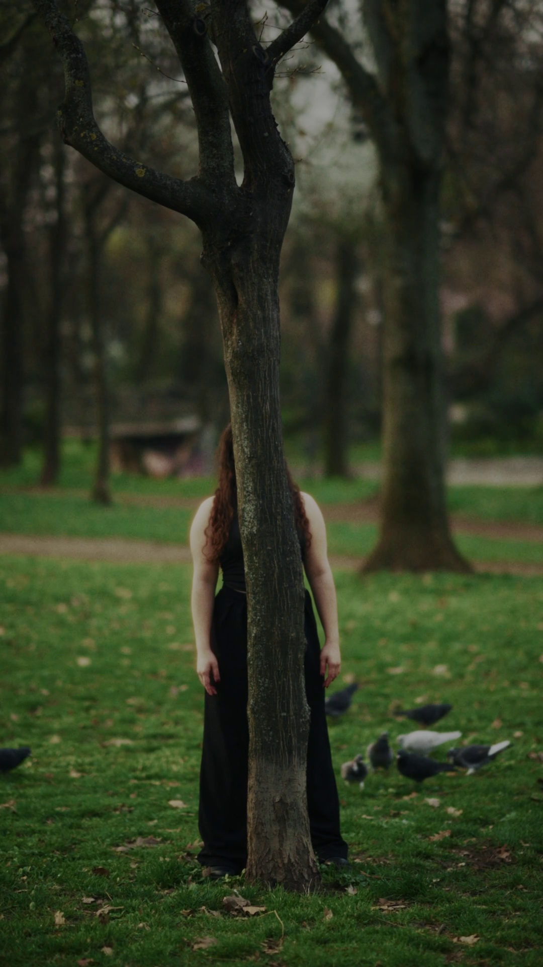 A person with long curly hair standing behind a tree in a park with birds on the grass.